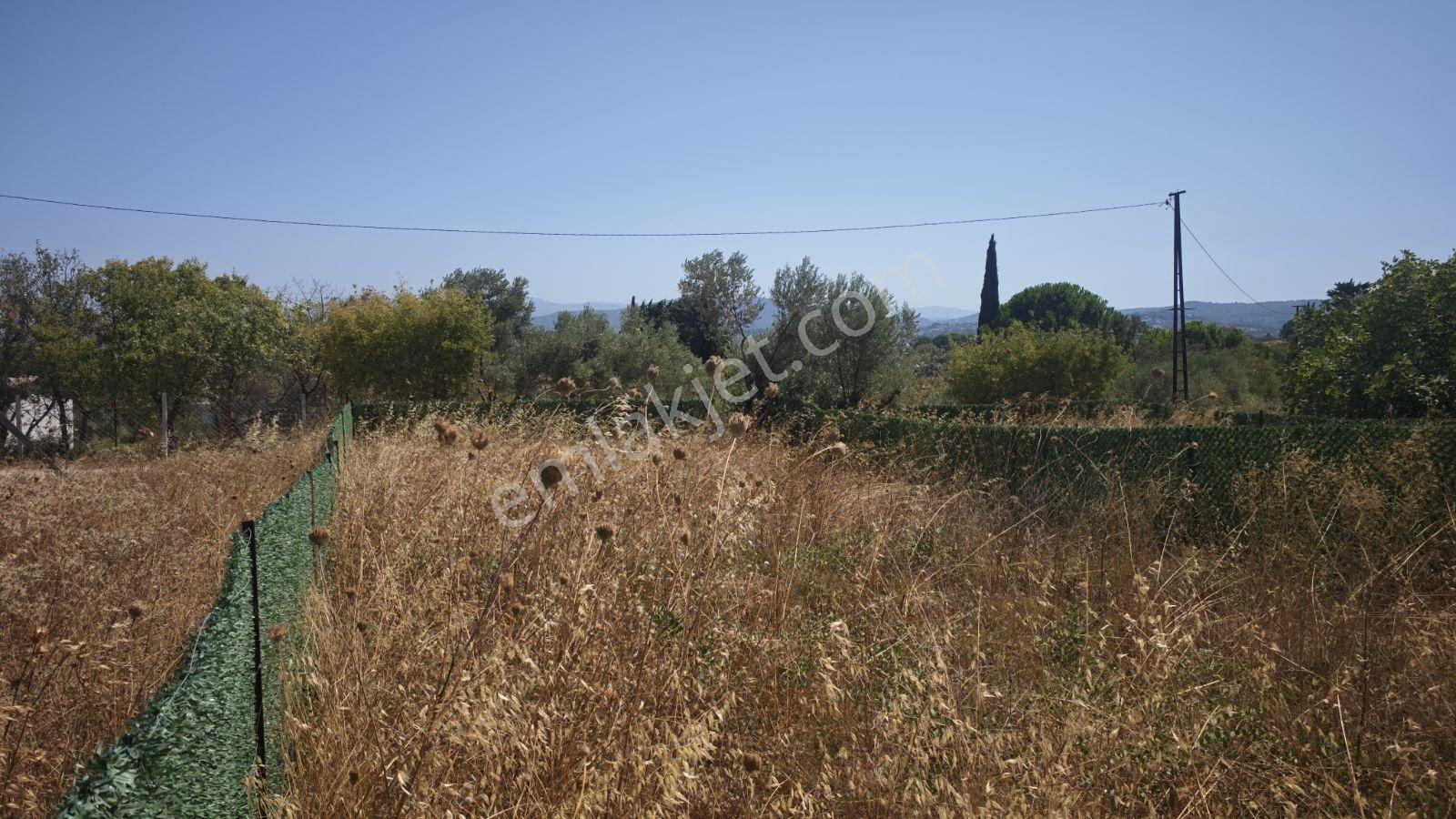 Urla Rüstem Mh Satılık Arazi — fotoğraf 2