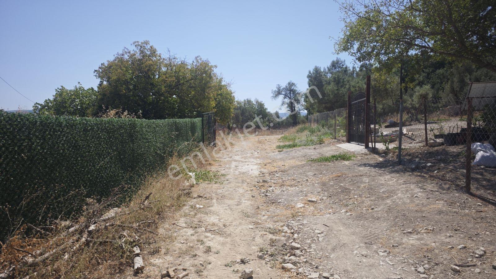 Urla Rüstem Mh Satılık Arazi — fotoğraf 3
