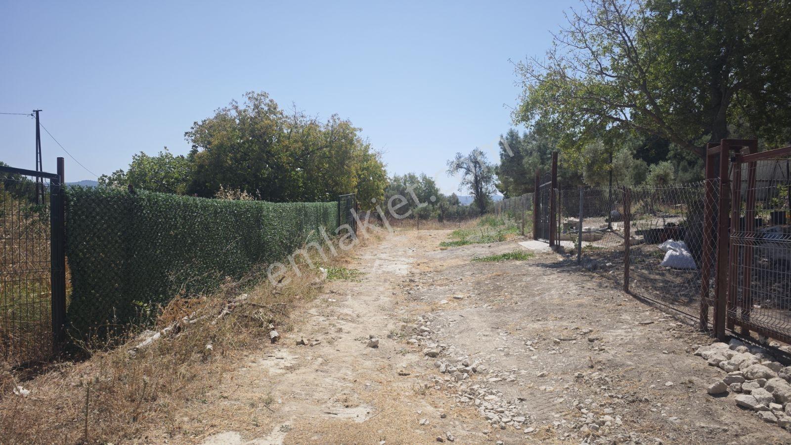 Urla Rüstem Mh Satılık Arazi — fotoğraf 4
