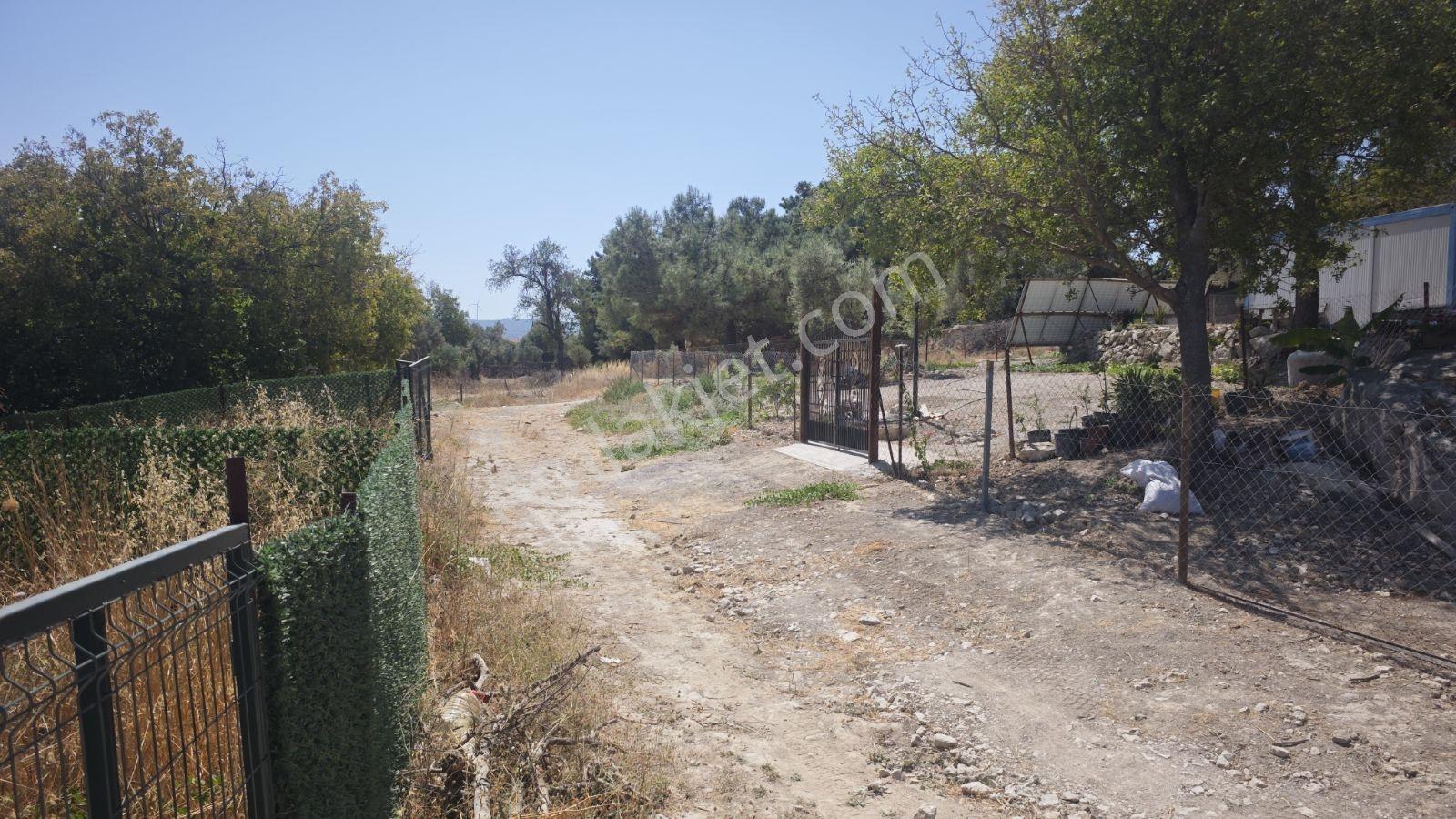 Urla Rüstem Mh Satılık Arazi — fotoğraf 5