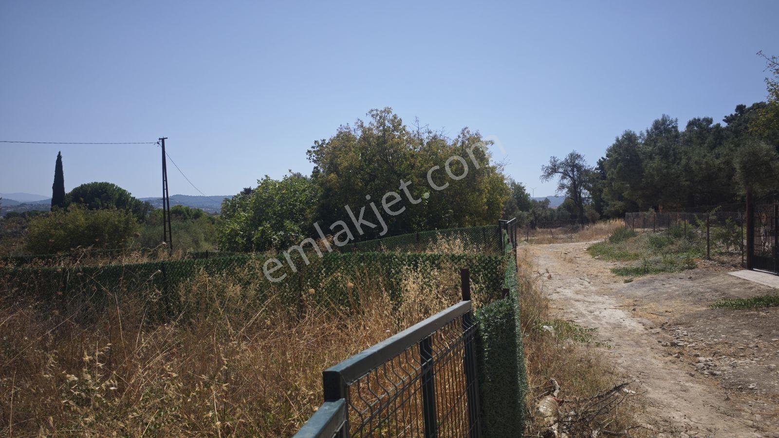 Urla Rüstem Mh Satılık Arazi — fotoğraf 6