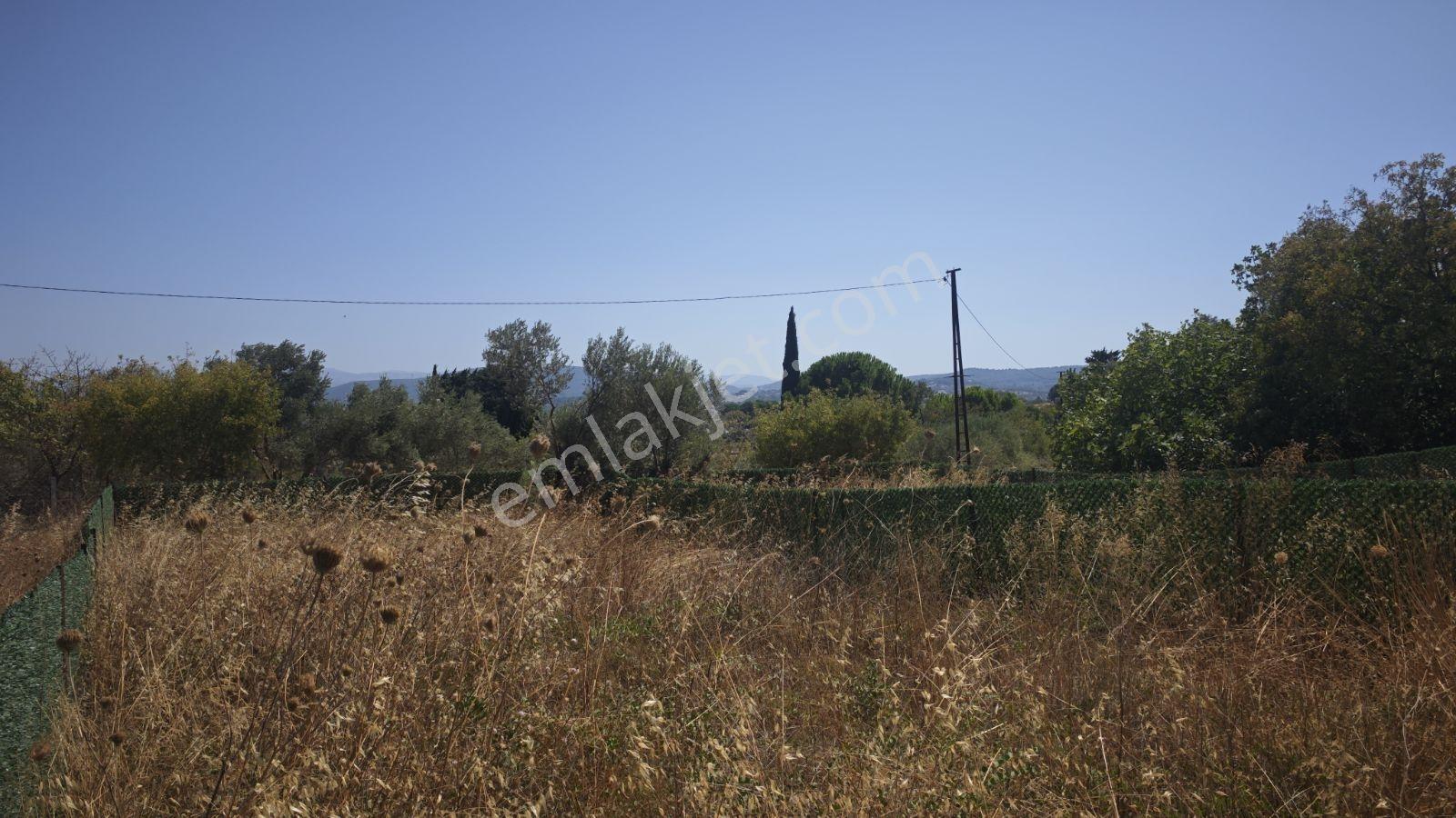 Urla Rüstem Mh Satılık Arazi — fotoğraf 7