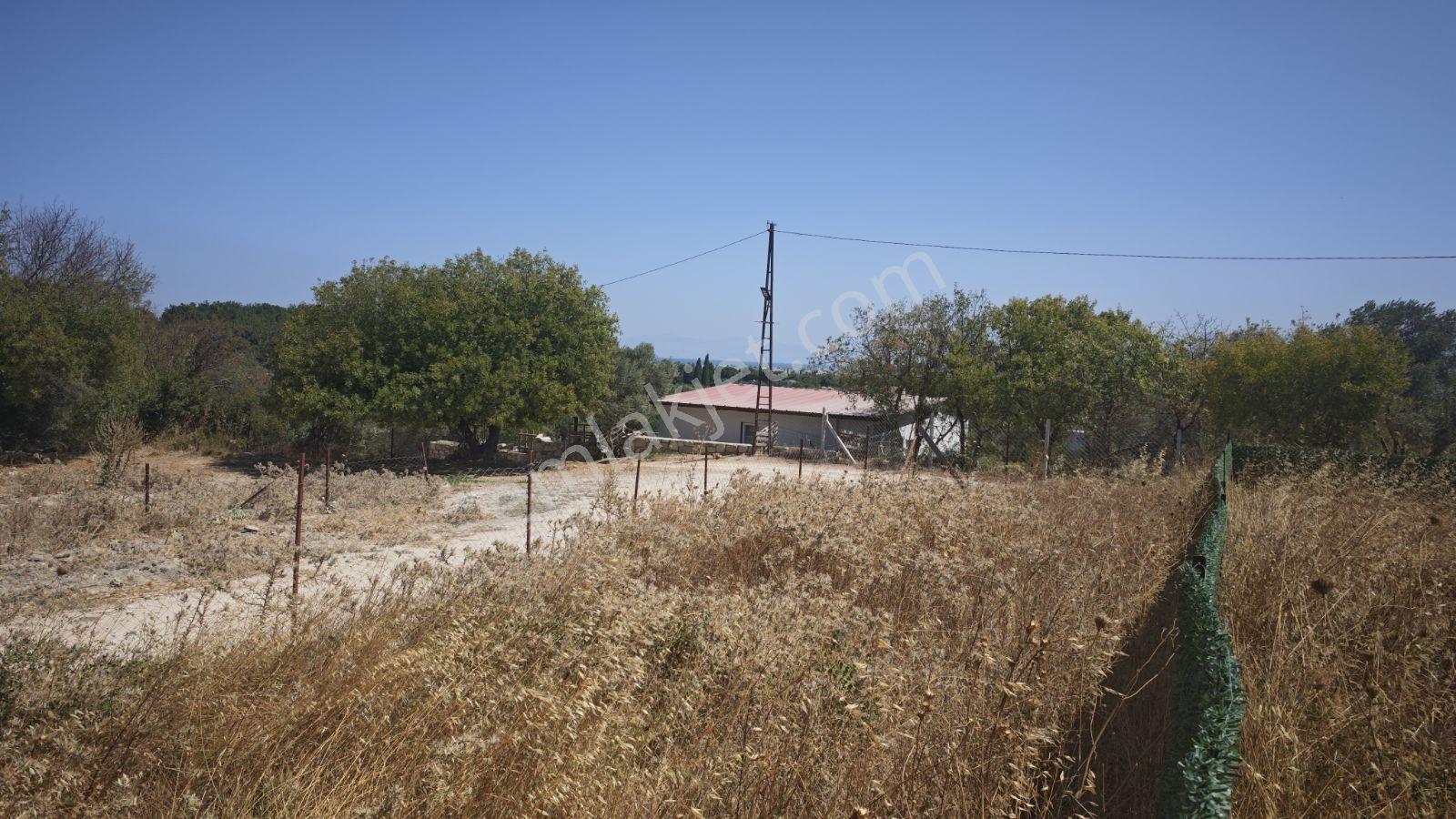 Urla Rüstem Mh Satılık Arazi — fotoğraf 8