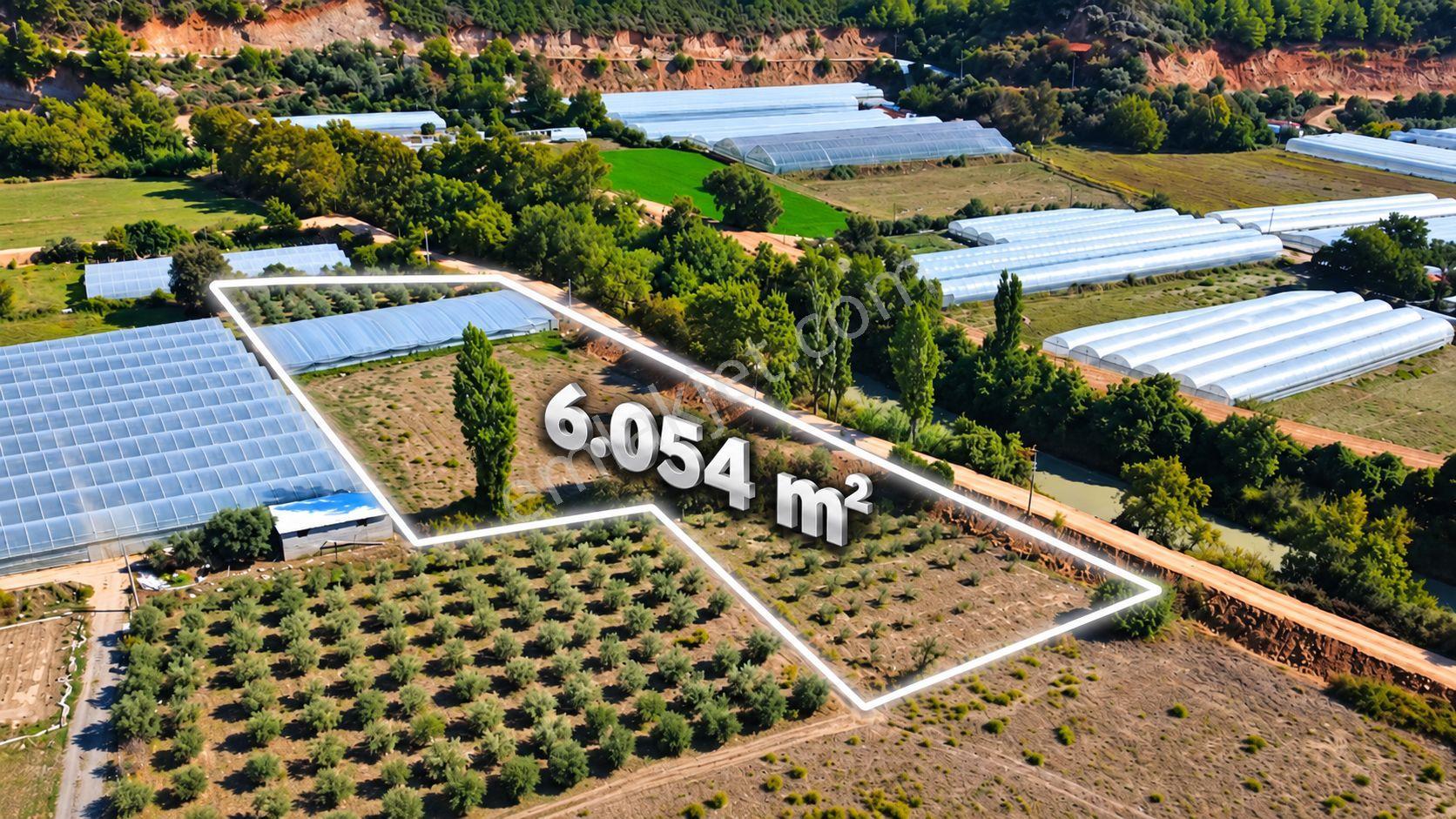 Muğla Seydikemer Çukurincir’De 6.054 M² Müstakil Tapulu Tarla