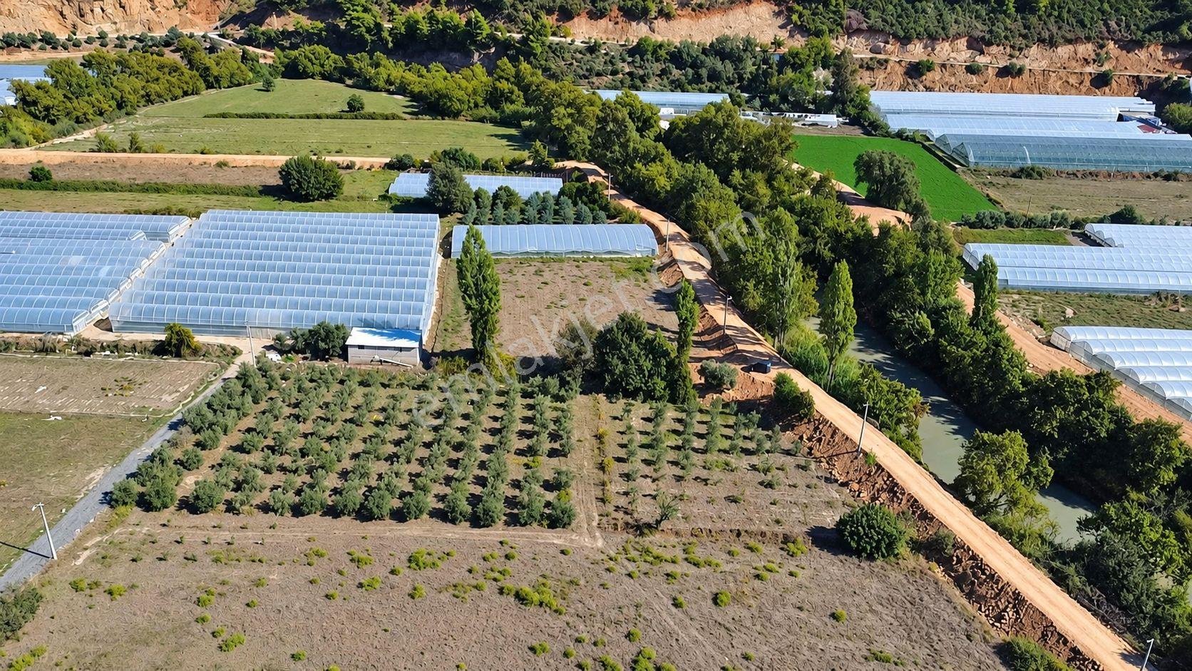 Muğla Seydikemer Çukurincir’de 6.054 M² Müstakil Tapulu Tarla — fotoğraf 2