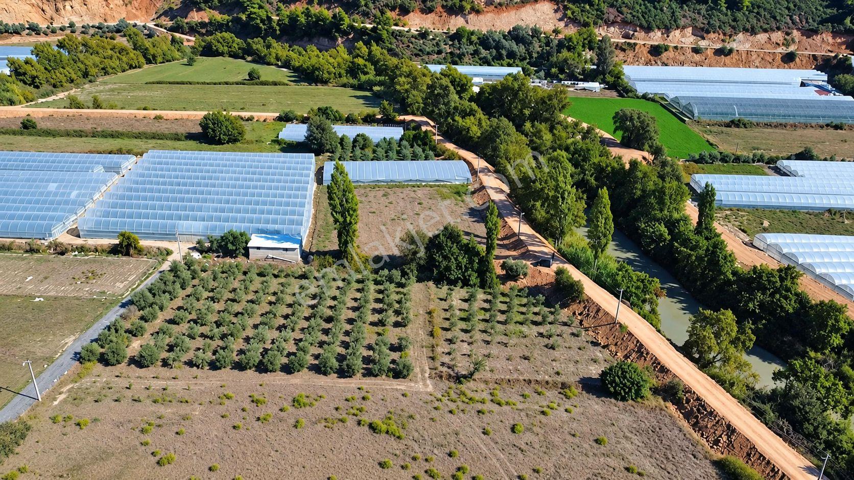 Muğla Seydikemer Çukurincir’de 6.054 M² Müstakil Tapulu Tarla — fotoğraf 3