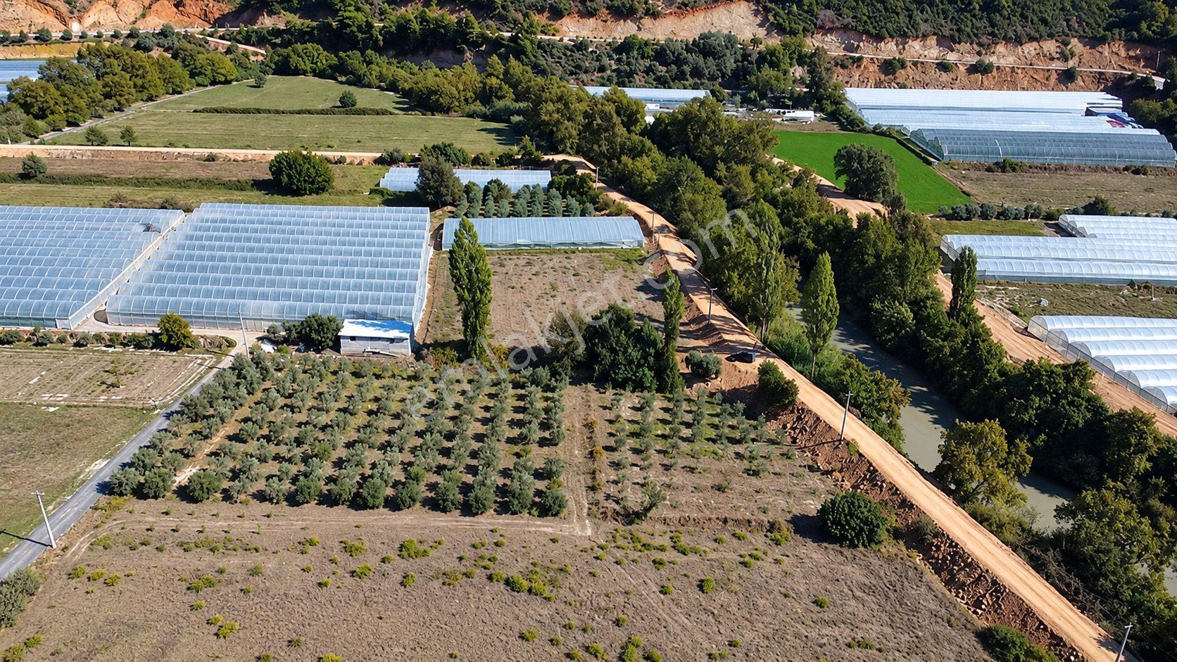 Muğla Seydikemer Çukurincir’de 6.054 M² Müstakil Tapulu Tarla — fotoğraf 4