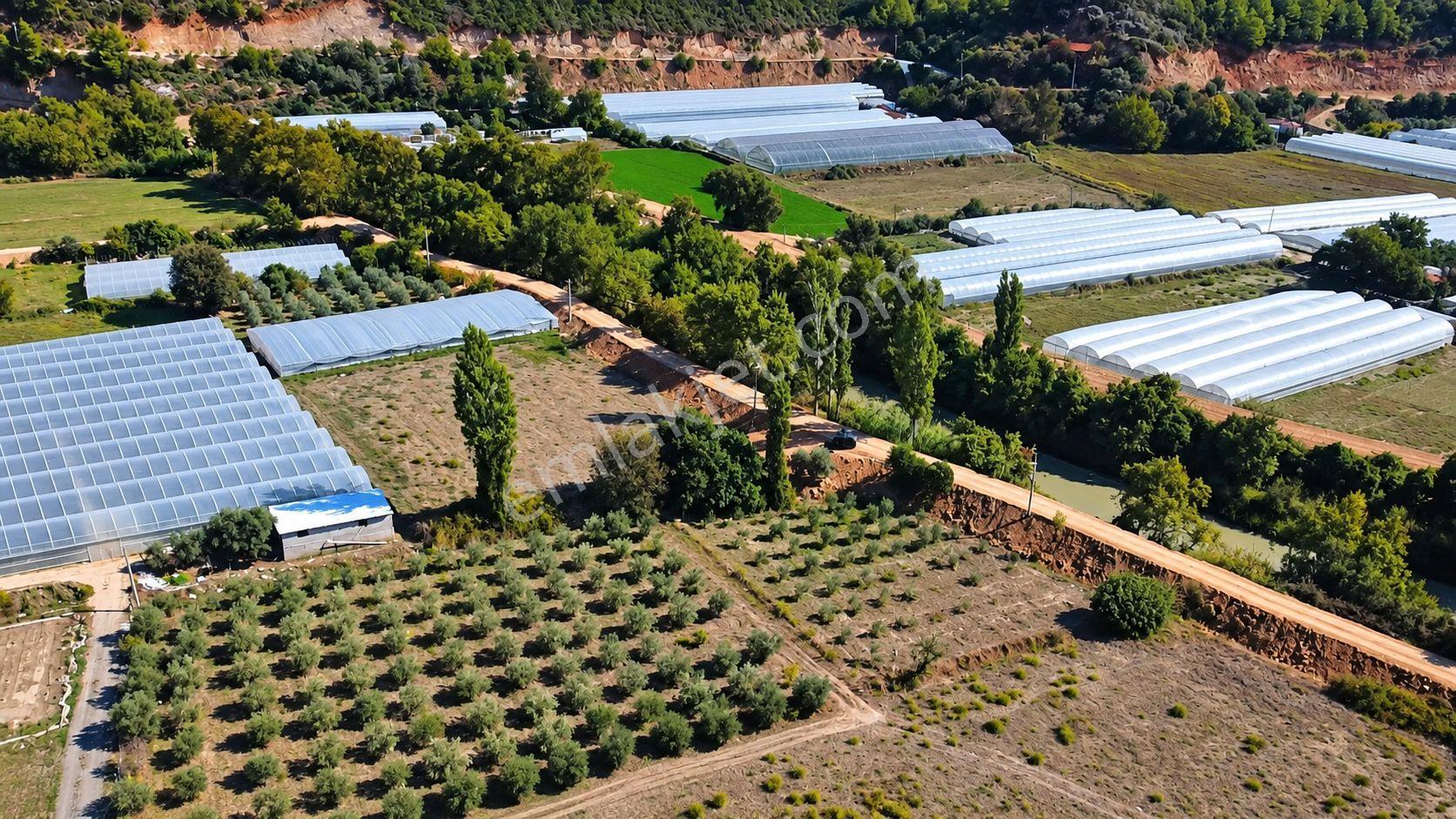 Muğla Seydikemer Çukurincir’de 6.054 M² Müstakil Tapulu Tarla — fotoğraf 5