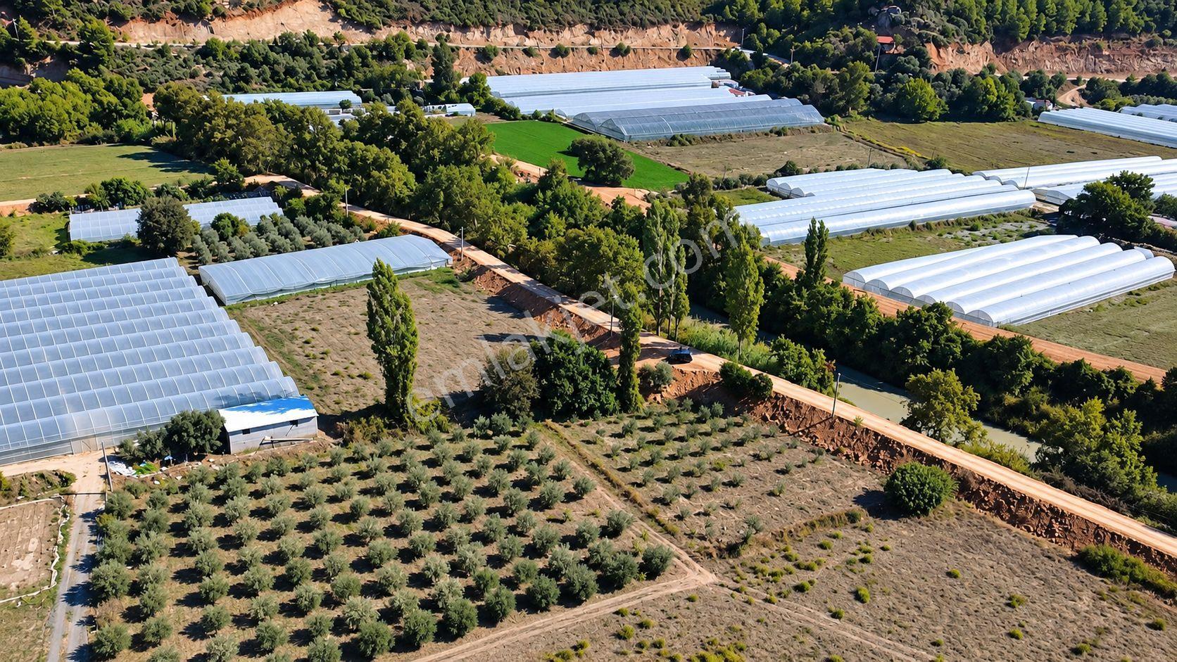 Muğla Seydikemer Çukurincir’de 6.054 M² Müstakil Tapulu Tarla — fotoğraf 6