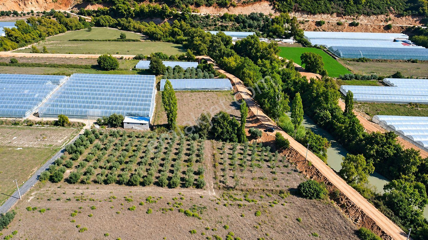Muğla Seydikemer Çukurincir’de 6.054 M² Müstakil Tapulu Tarla — fotoğraf 8