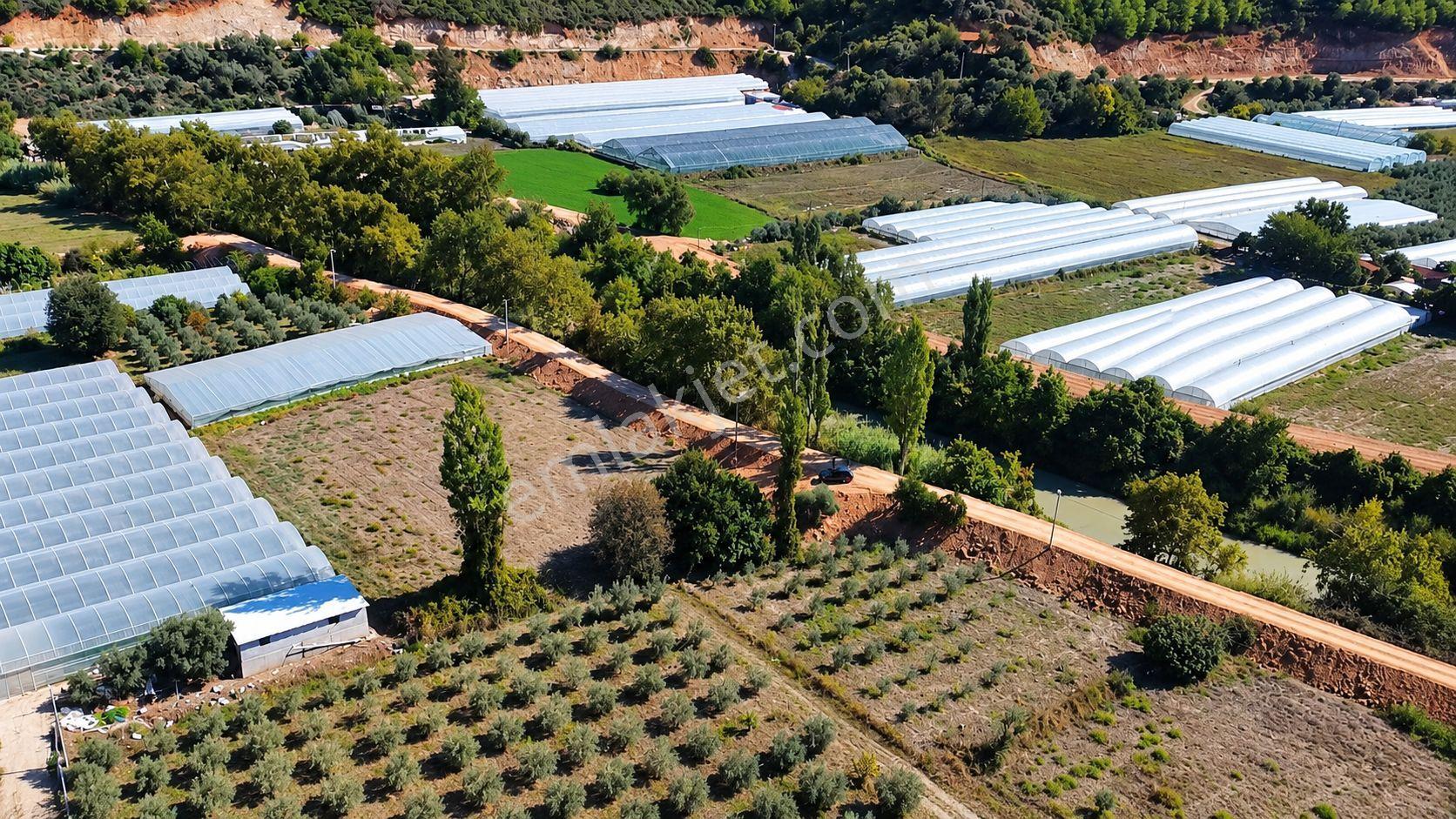 Muğla Seydikemer Çukurincir’de 6.054 M² Müstakil Tapulu Tarla — fotoğraf 9