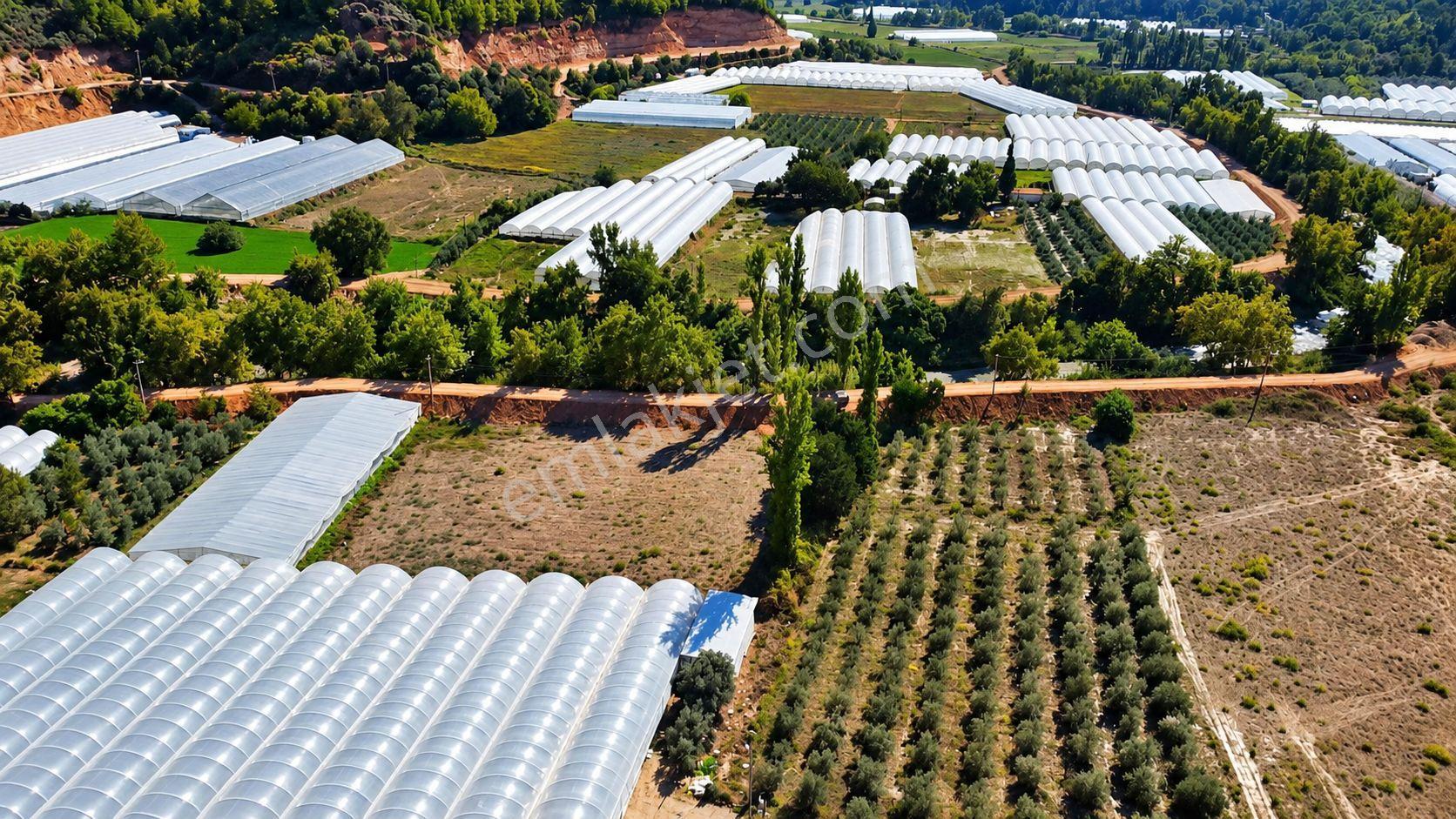 Muğla Seydikemer Çukurincir’de 6.054 M² Müstakil Tapulu Tarla — fotoğraf 10