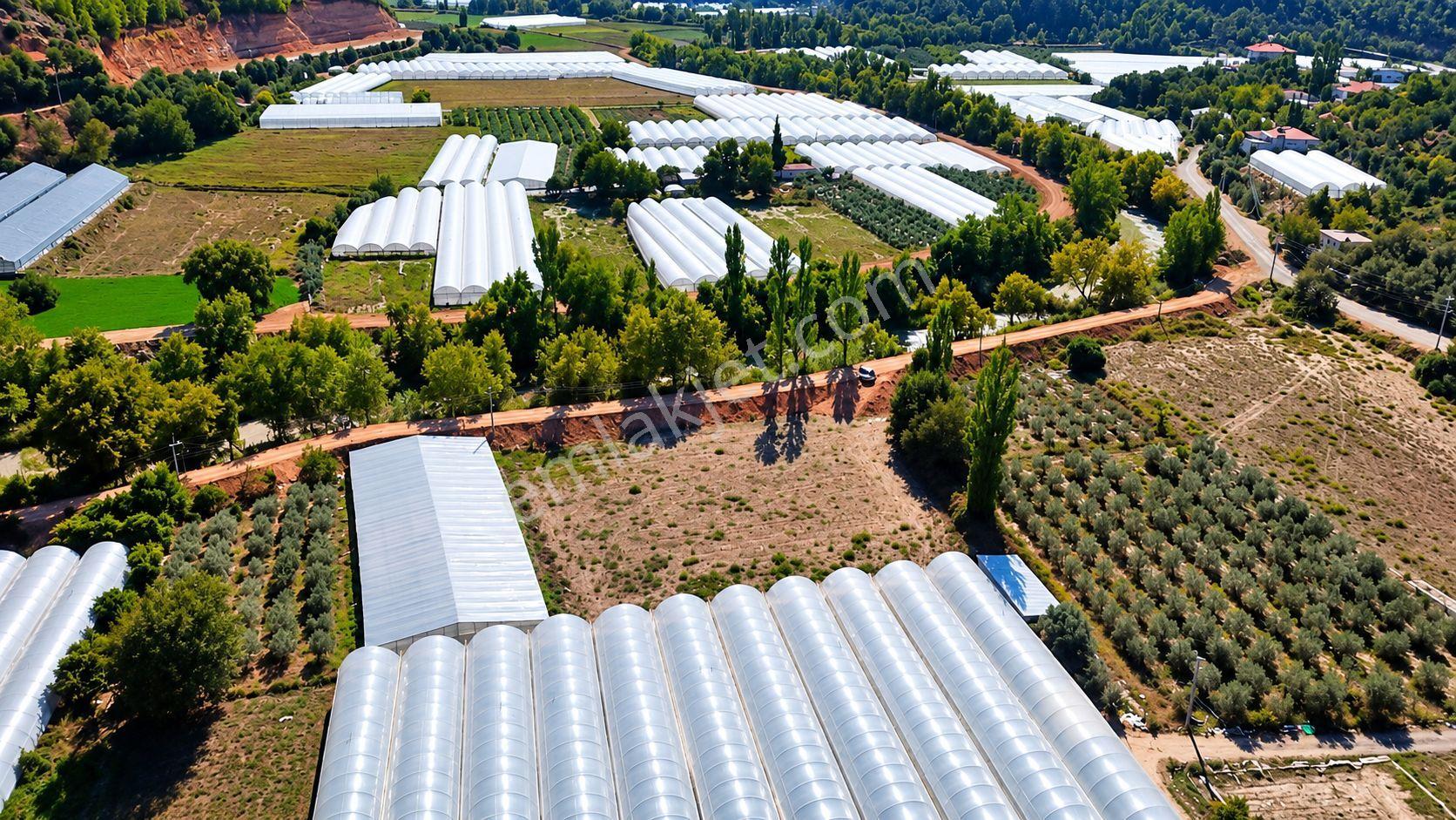 Muğla Seydikemer Çukurincir’de 6.054 M² Müstakil Tapulu Tarla — fotoğraf 11