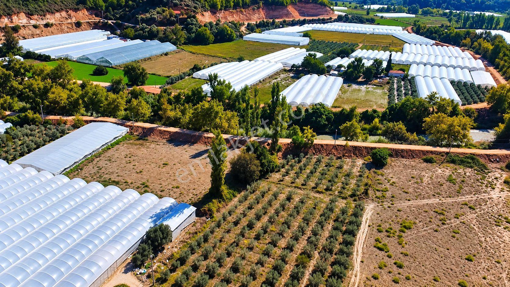 Muğla Seydikemer Çukurincir’de 6.054 M² Müstakil Tapulu Tarla — fotoğraf 12