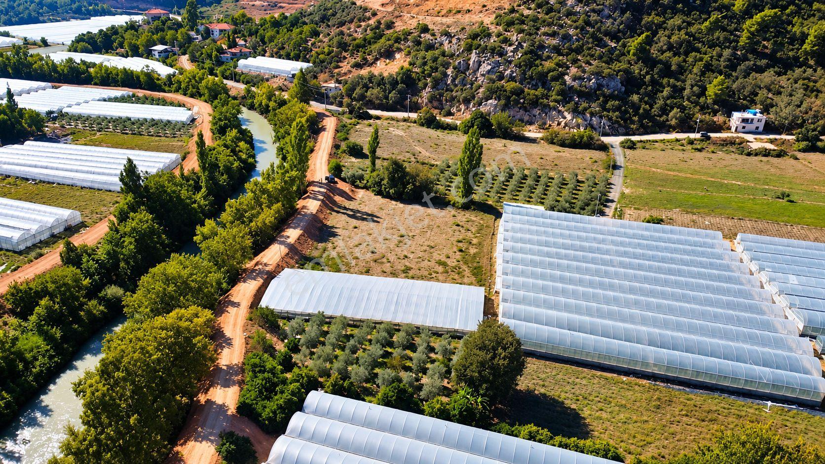 Muğla Seydikemer Çukurincir’de 6.054 M² Müstakil Tapulu Tarla — fotoğraf 13
