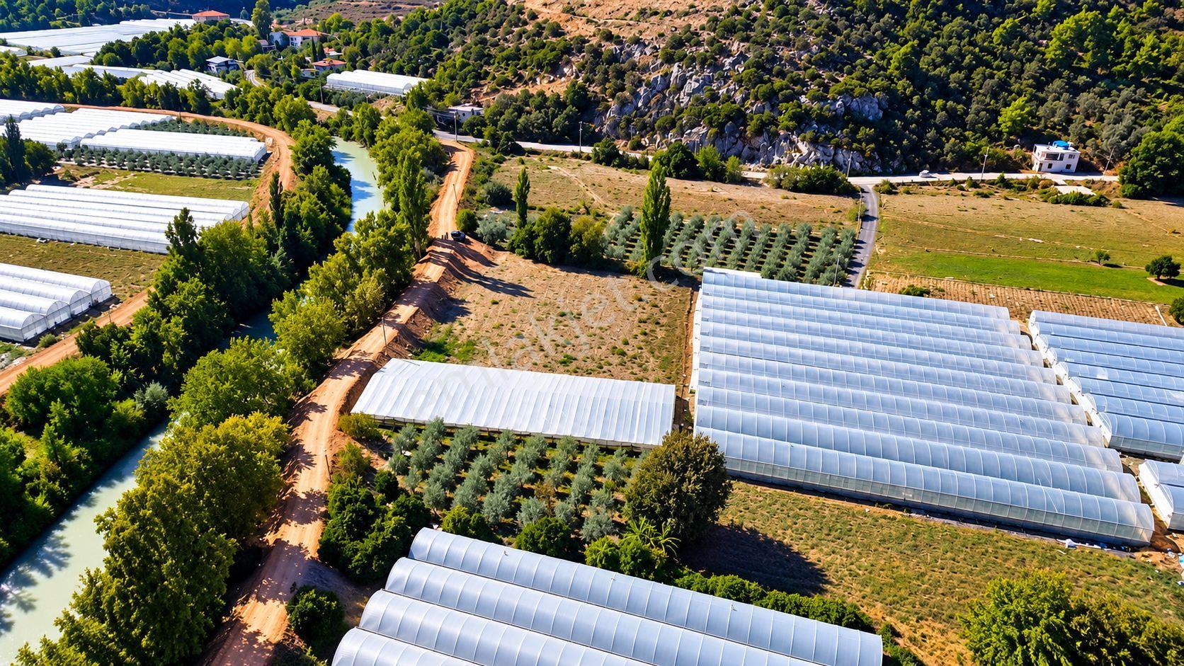 Muğla Seydikemer Çukurincir’de 6.054 M² Müstakil Tapulu Tarla — fotoğraf 14