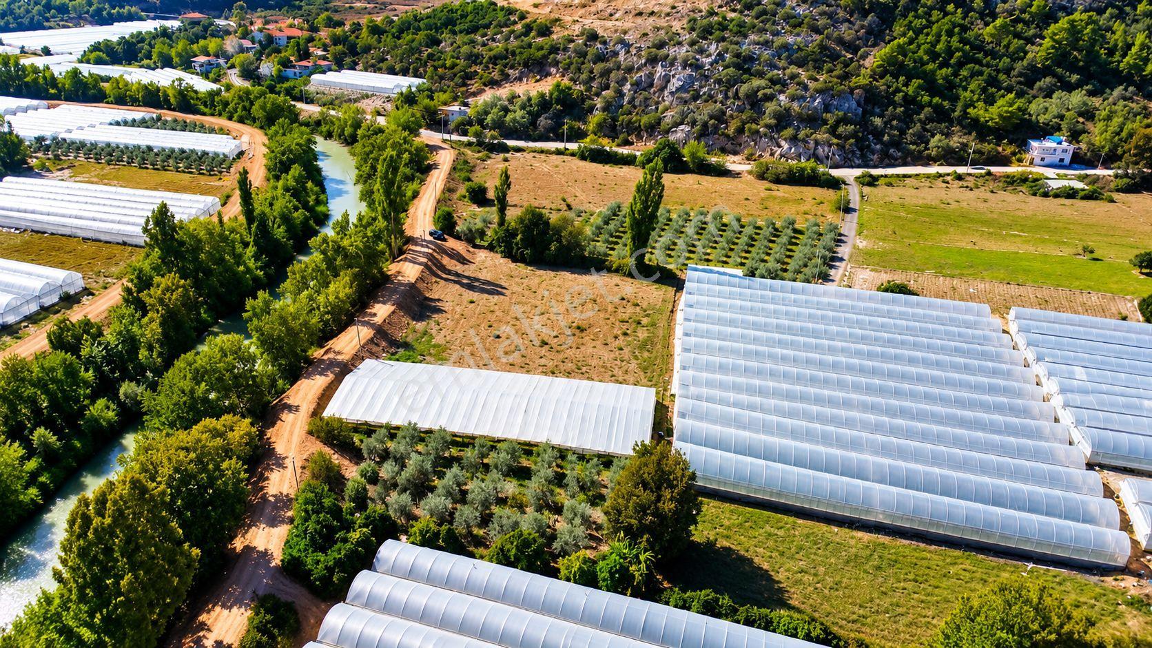 Muğla Seydikemer Çukurincir’de 6.054 M² Müstakil Tapulu Tarla — fotoğraf 15