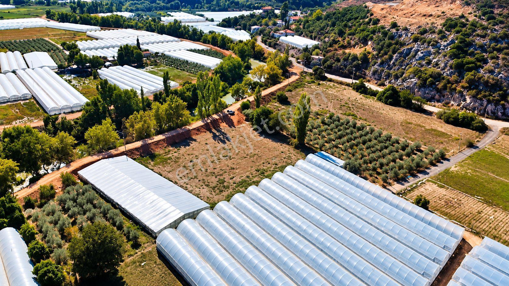 Muğla Seydikemer Çukurincir’de 6.054 M² Müstakil Tapulu Tarla — fotoğraf 16