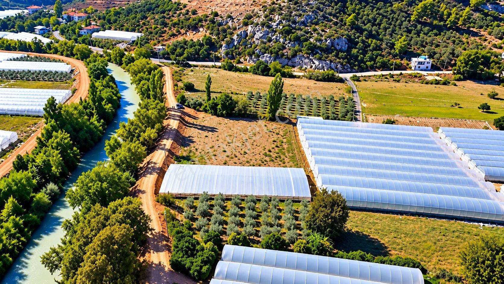 Muğla Seydikemer Çukurincir’de 6.054 M² Müstakil Tapulu Tarla — fotoğraf 19