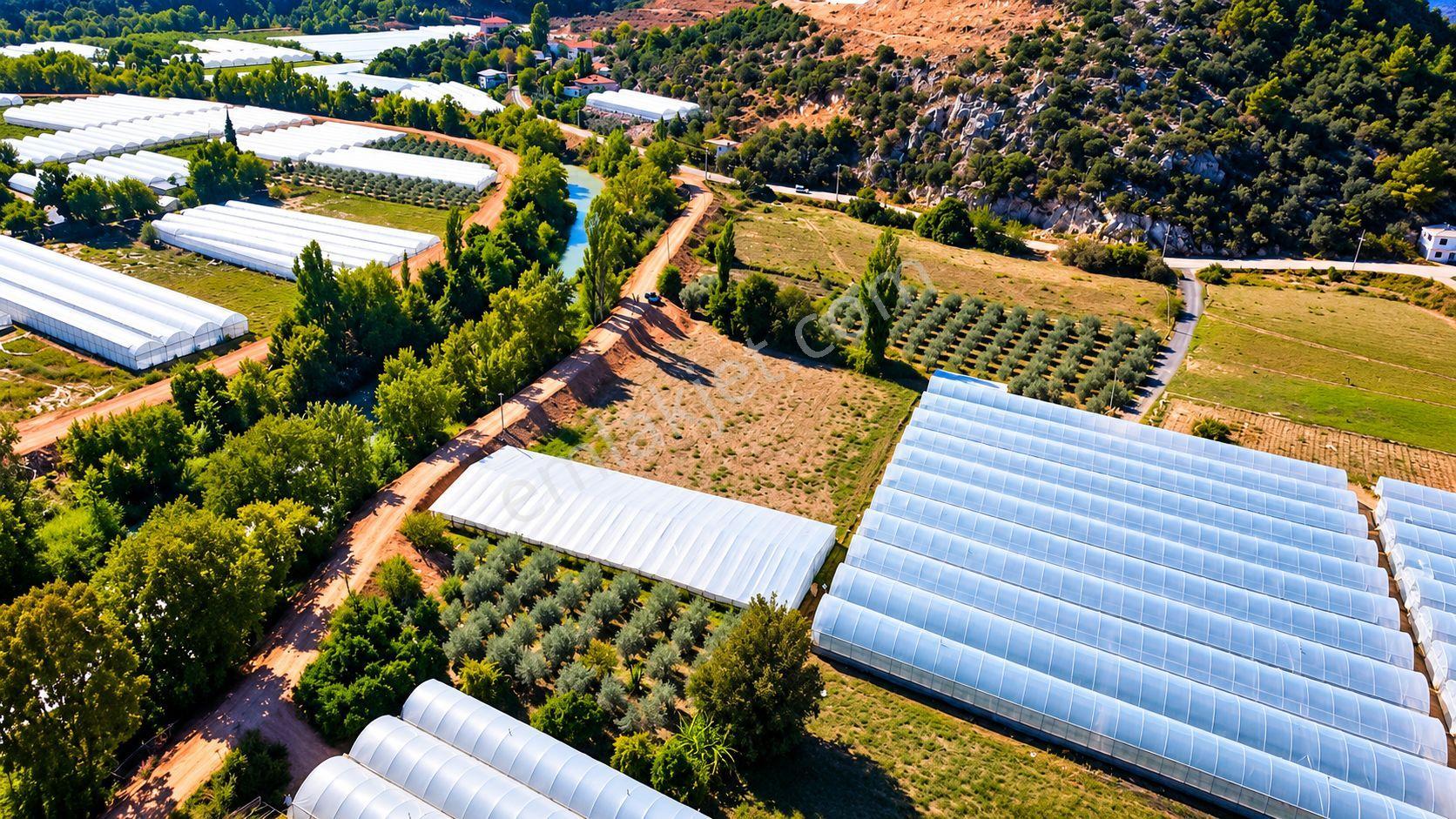 Muğla Seydikemer Çukurincir’de 6.054 M² Müstakil Tapulu Tarla — fotoğraf 20