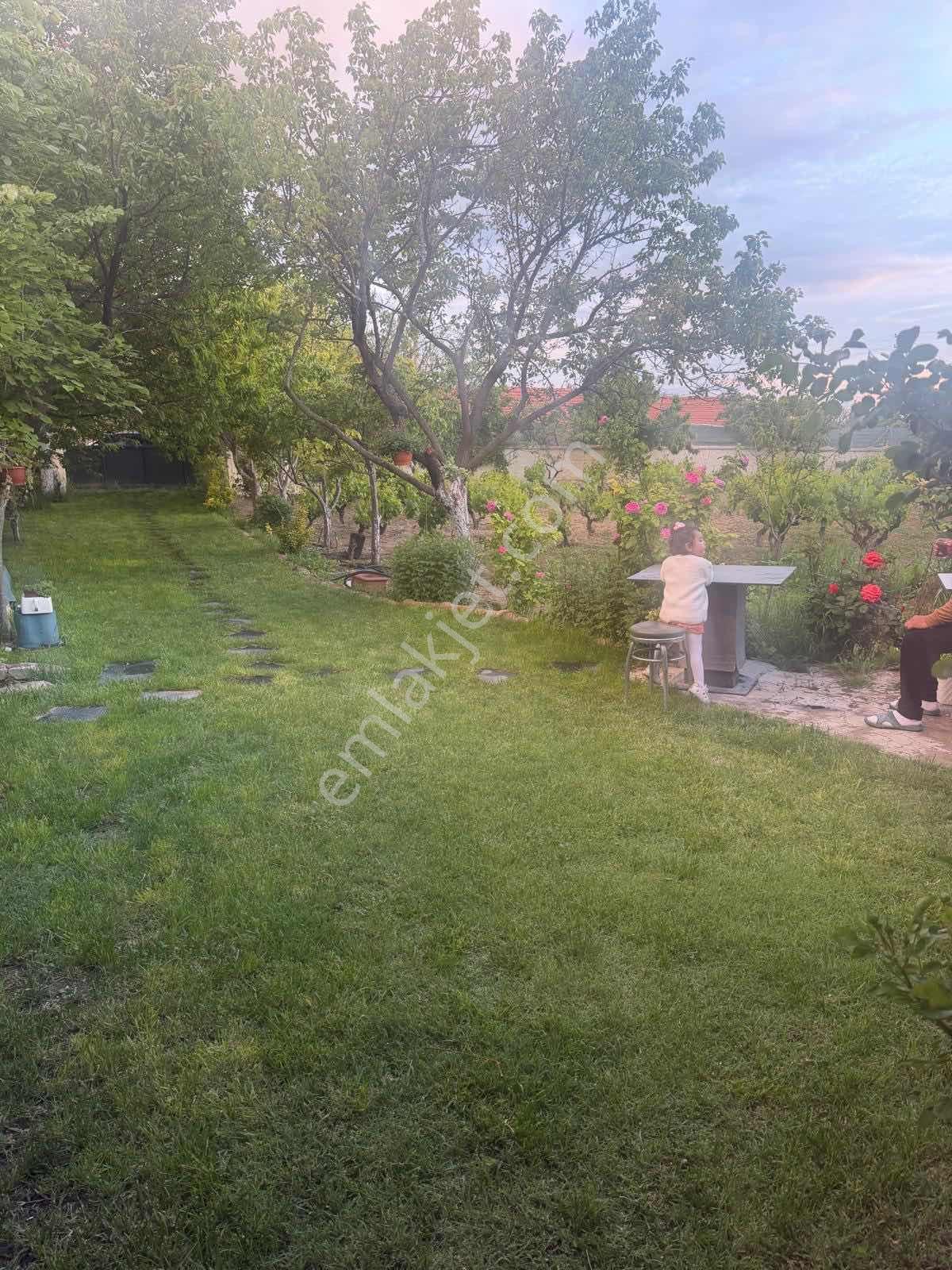 Lotus'dan Topakkayada Müstakil Ev Arsa Ve Meyve Bahçesi — fotoğraf 2