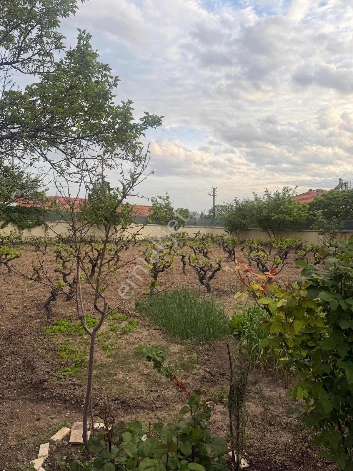 Lotus'dan Topakkayada Müstakil Ev Arsa Ve Meyve Bahçesi — fotoğraf 3