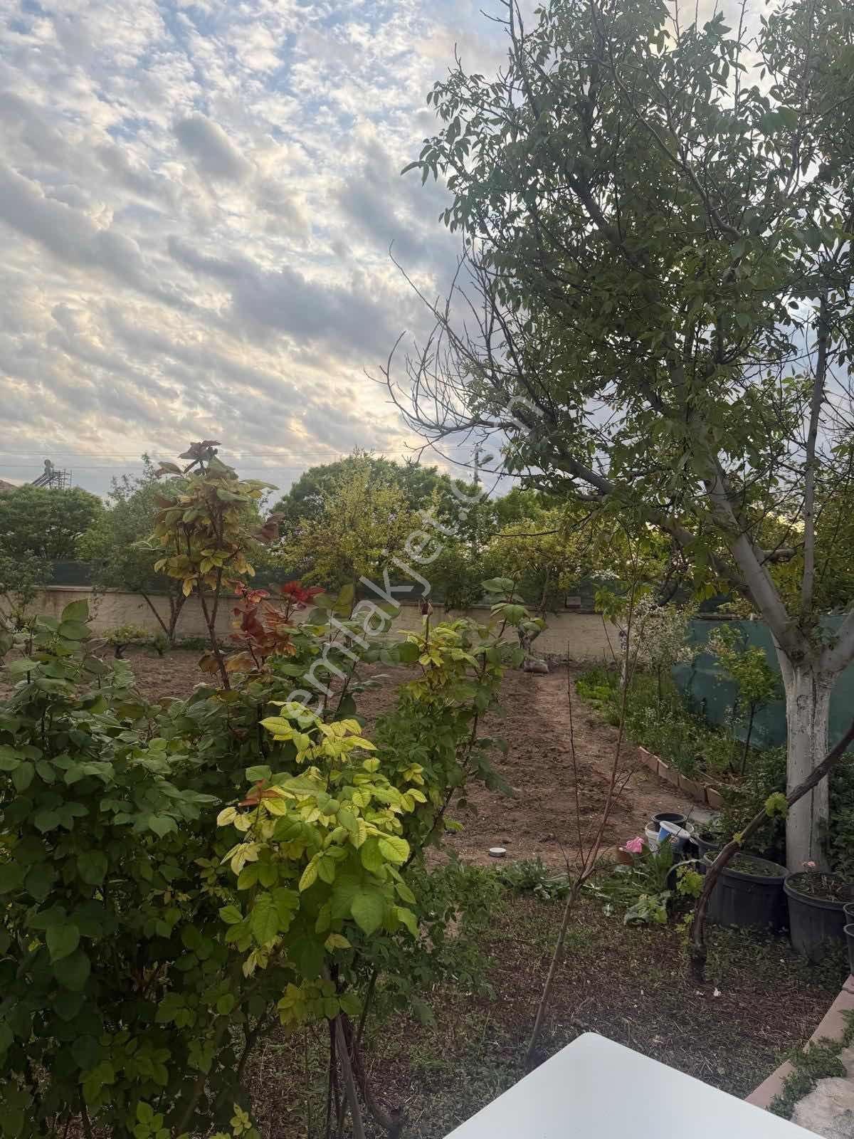Lotus'dan Topakkayada Müstakil Ev Arsa Ve Meyve Bahçesi — fotoğraf 7