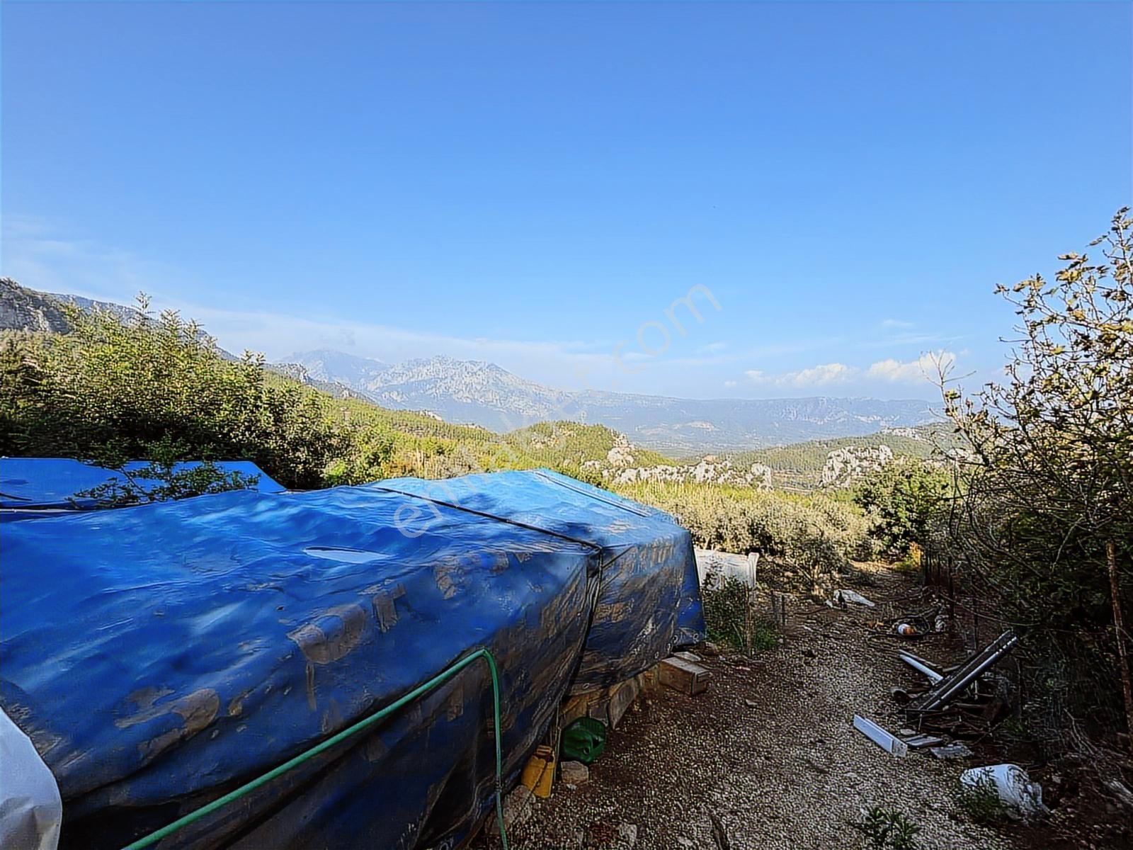 Usta Gayrimenkul'den Satılık Gökçepınar'da Ev Ve Arazisi — fotoğraf 3