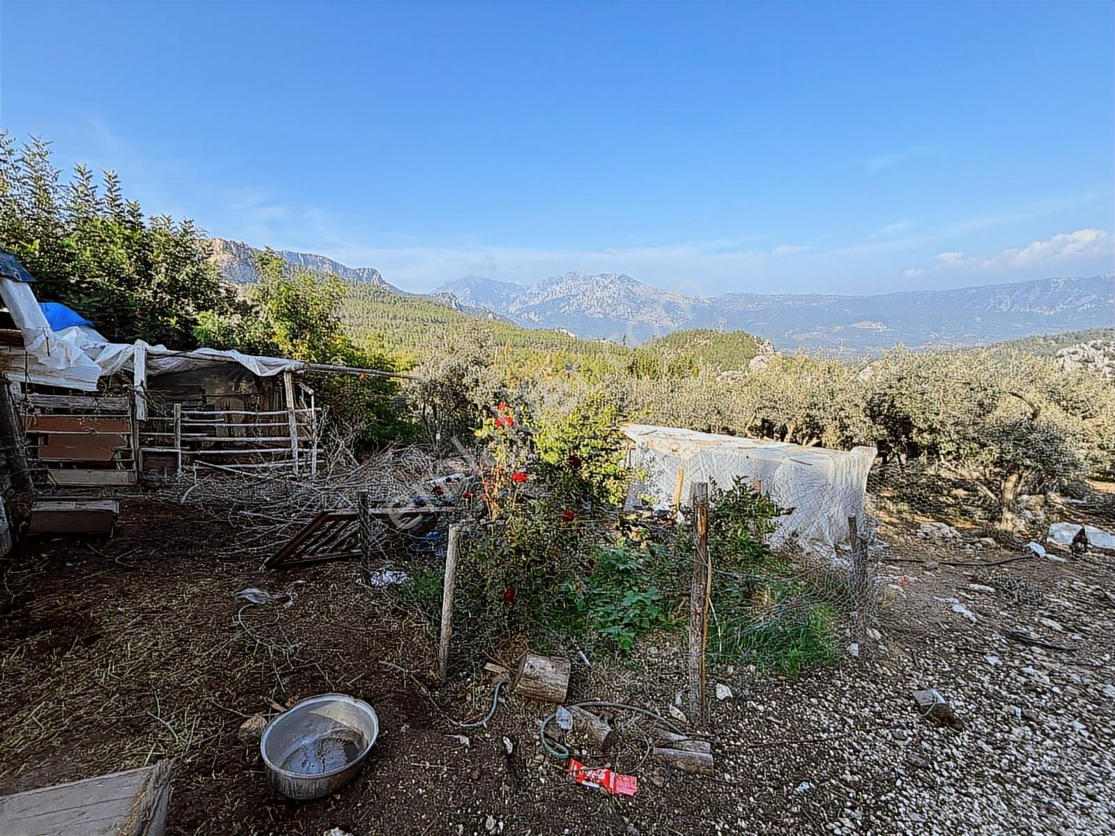 Usta Gayrimenkul'den Satılık Gökçepınar'da Ev Ve Arazisi — fotoğraf 4