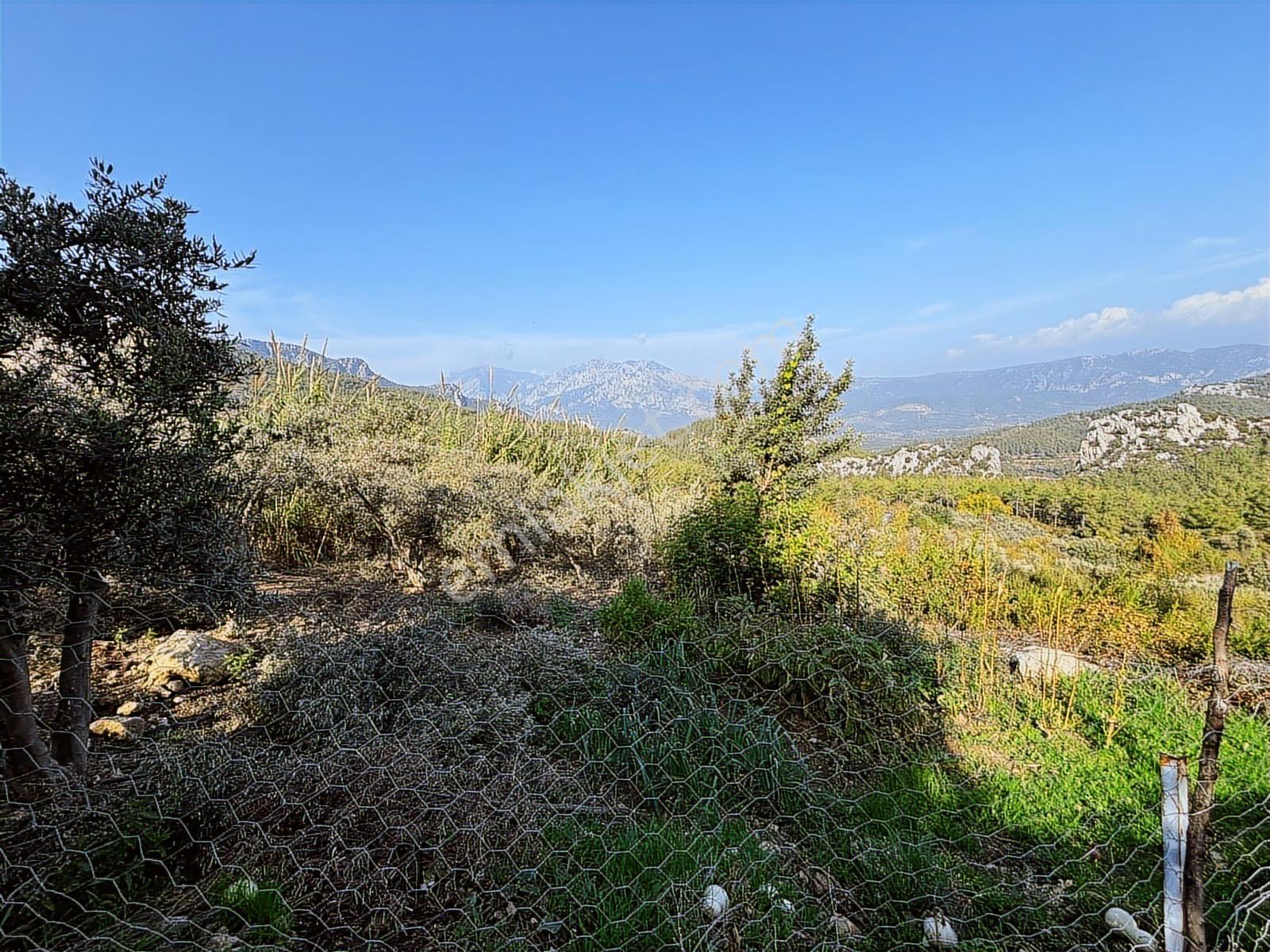 Usta Gayrimenkul'den Satılık Gökçepınar'da Ev Ve Arazisi — fotoğraf 8