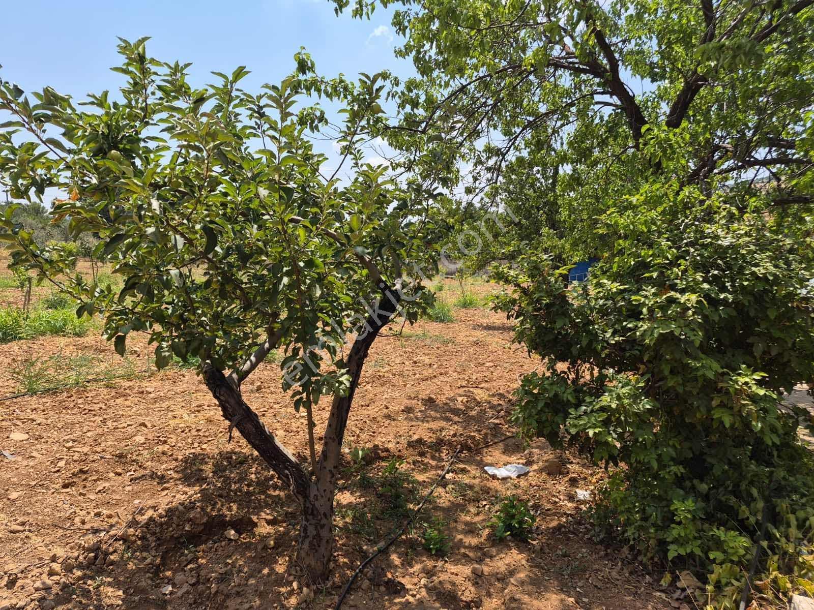 Keret Adaklıda Fırsat Arazi İçinde 2 Katlı Ev Var — fotoğraf 4
