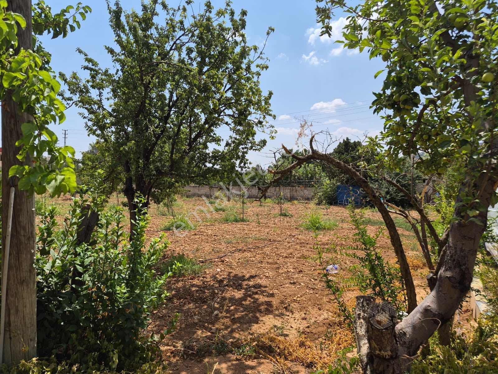 Keret Adaklıda Fırsat Arazi İçinde 2 Katlı Ev Var — fotoğraf 5