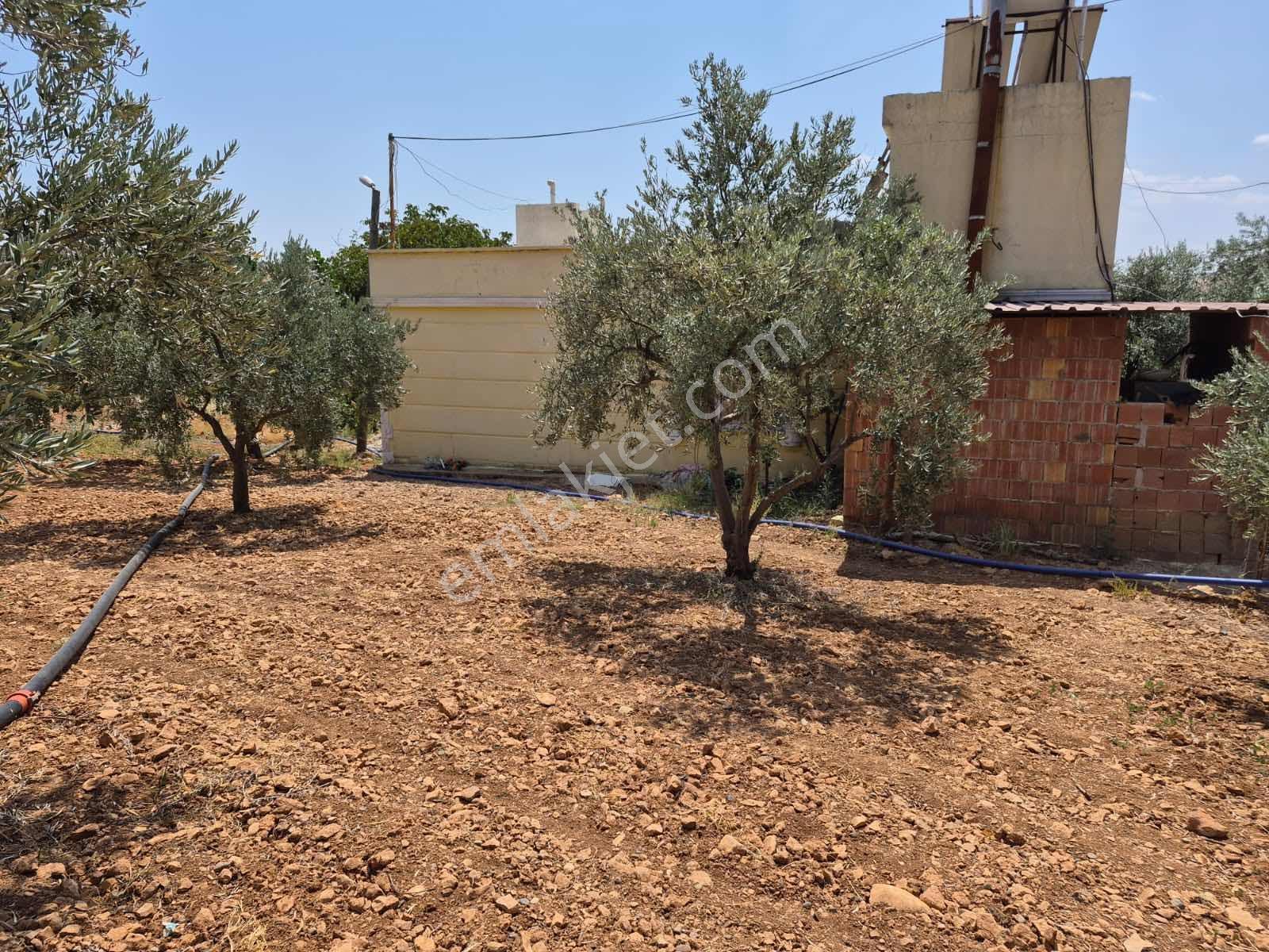 Keret Adaklıda Fırsat Arazi İçinde 2 Katlı Ev Var — fotoğraf 8