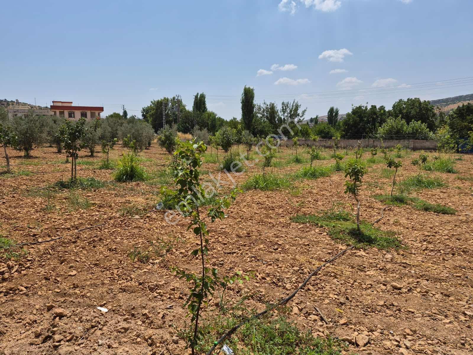 Keret Adaklıda Fırsat Arazi İçinde 2 Katlı Ev Var — fotoğraf 11