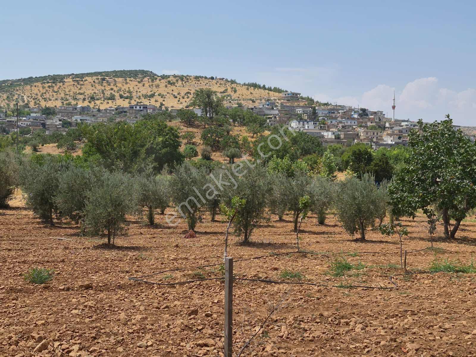 Keret Adaklıda Fırsat Arazi İçinde 2 Katlı Ev Var — fotoğraf 17