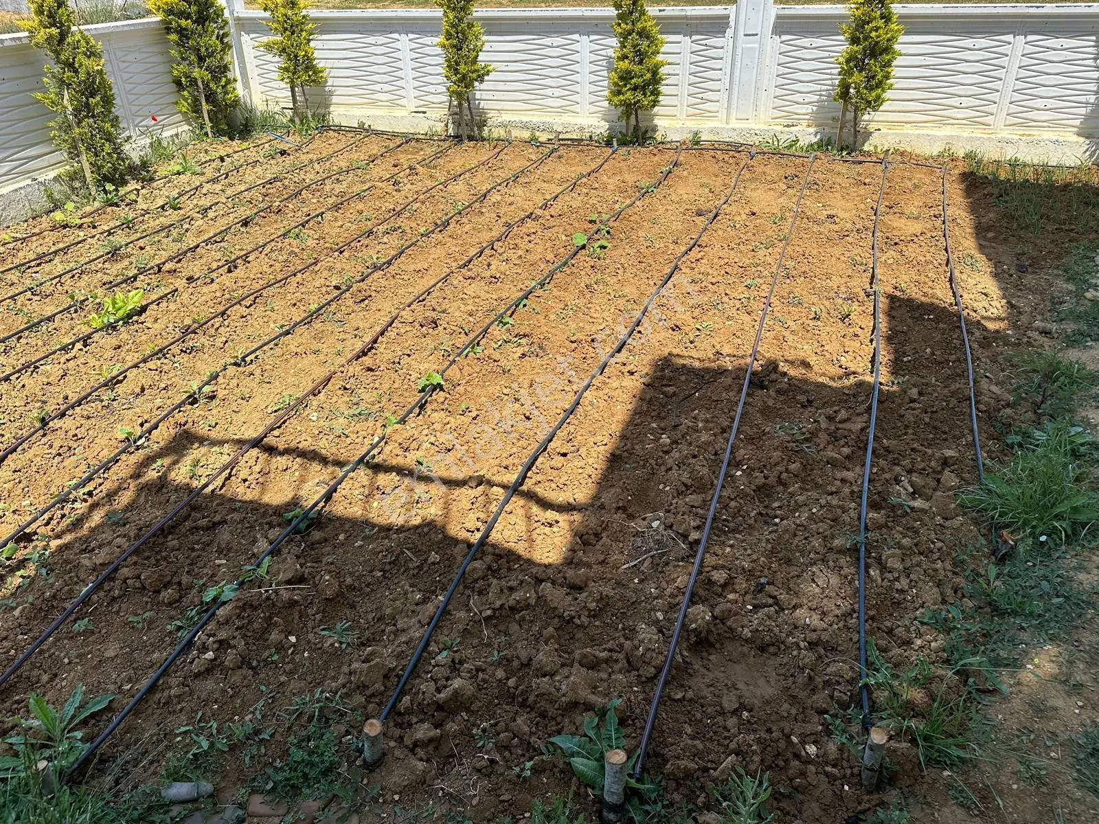 Gelibolu Adilhan Köyü Site İçinde Denize Yakın Satılık Villa — fotoğraf 4