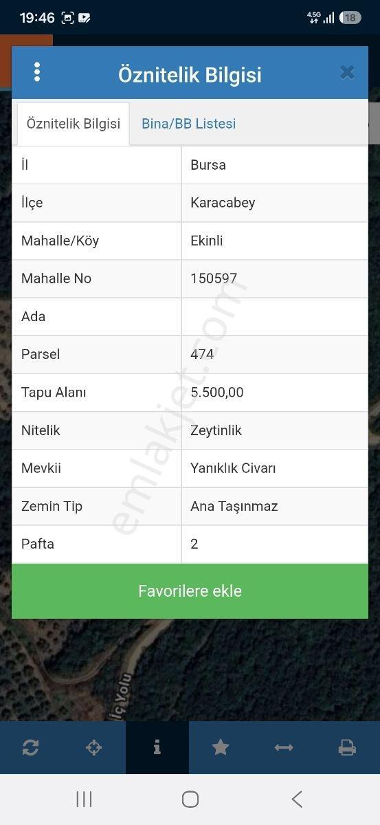 Karacabey Ekinli Köyünde Deniz Manzaralı, Zeytinlik Satılık — fotoğraf 13