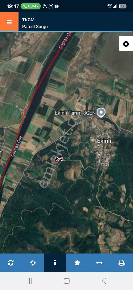 Karacabey Ekinli Köyünde Deniz Manzaralı, Zeytinlik Satılık — fotoğraf 14