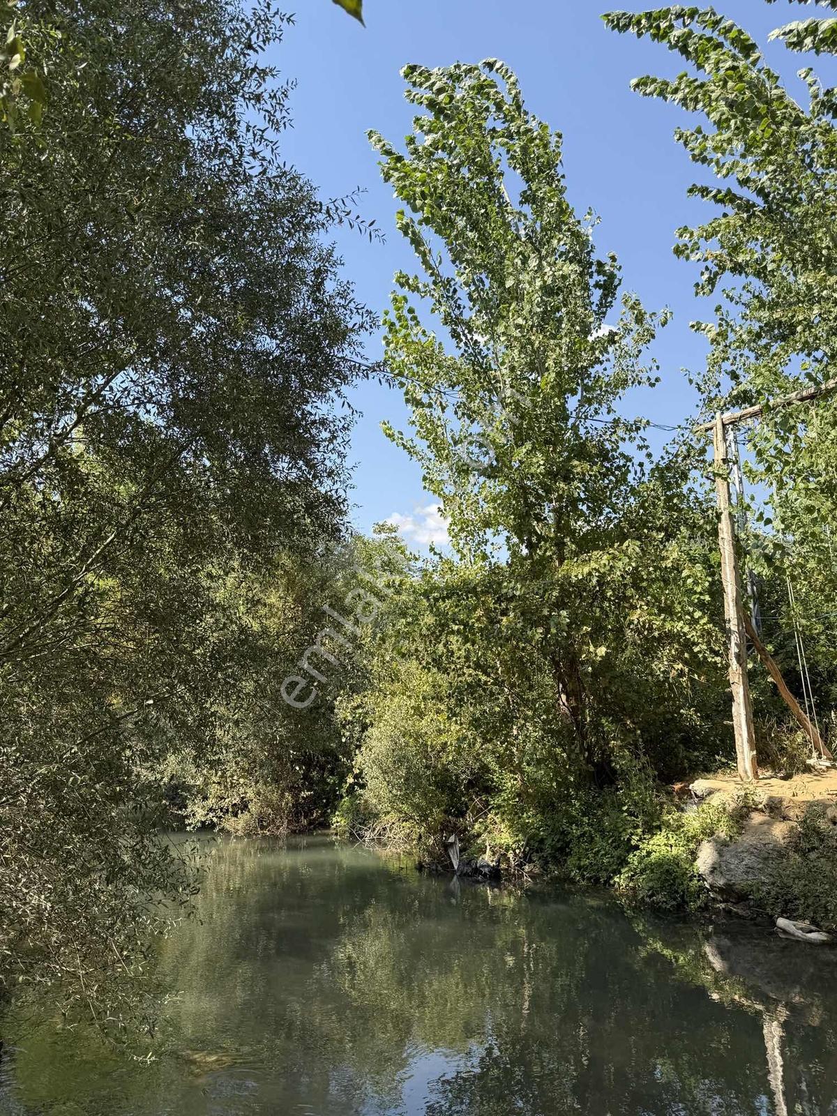Yeni Rota'dan Tekir Kısık Mevkiinde Satlık Bağ Bahçe — fotoğraf 4