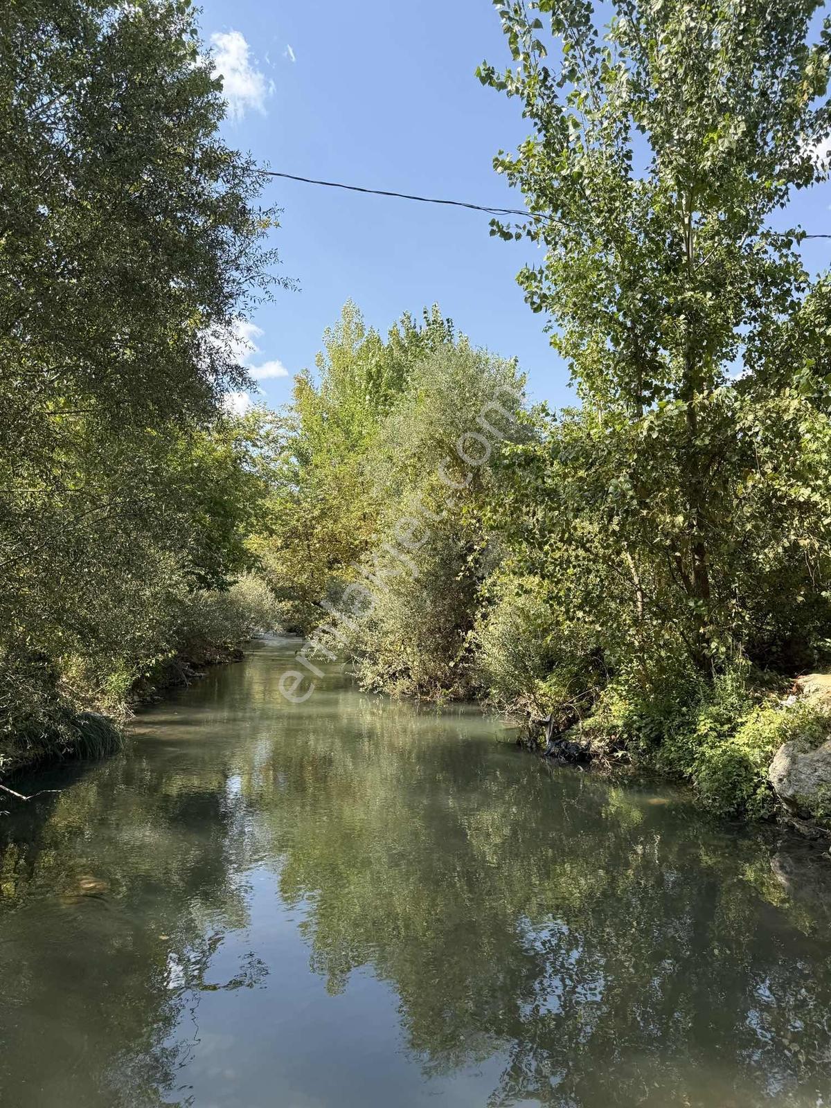 Yeni Rota'dan Tekir Kısık Mevkiinde Satlık Bağ Bahçe — fotoğraf 5