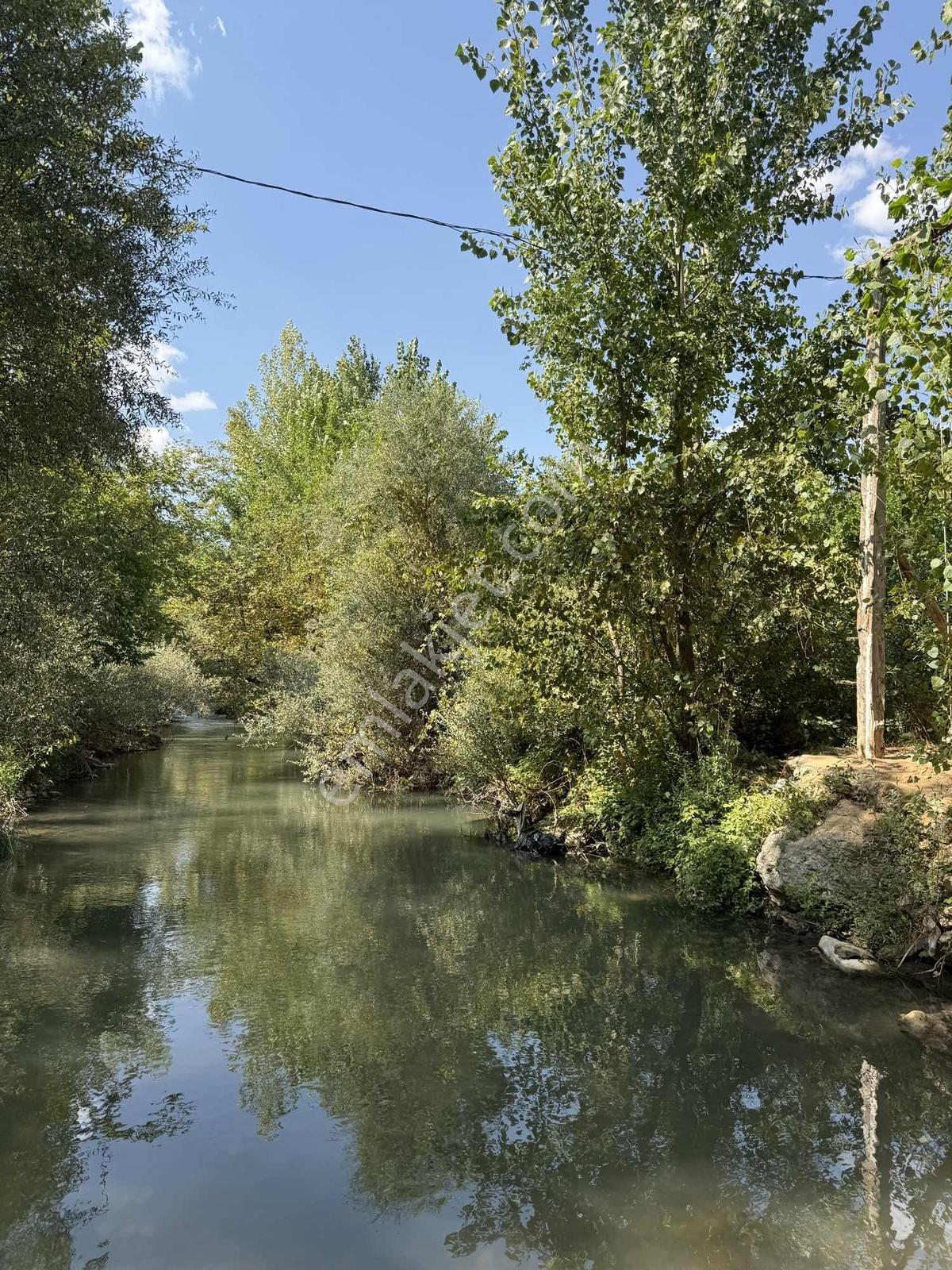 Yeni Rota'dan Tekir Kısık Mevkiinde Satlık Bağ Bahçe — fotoğraf 6