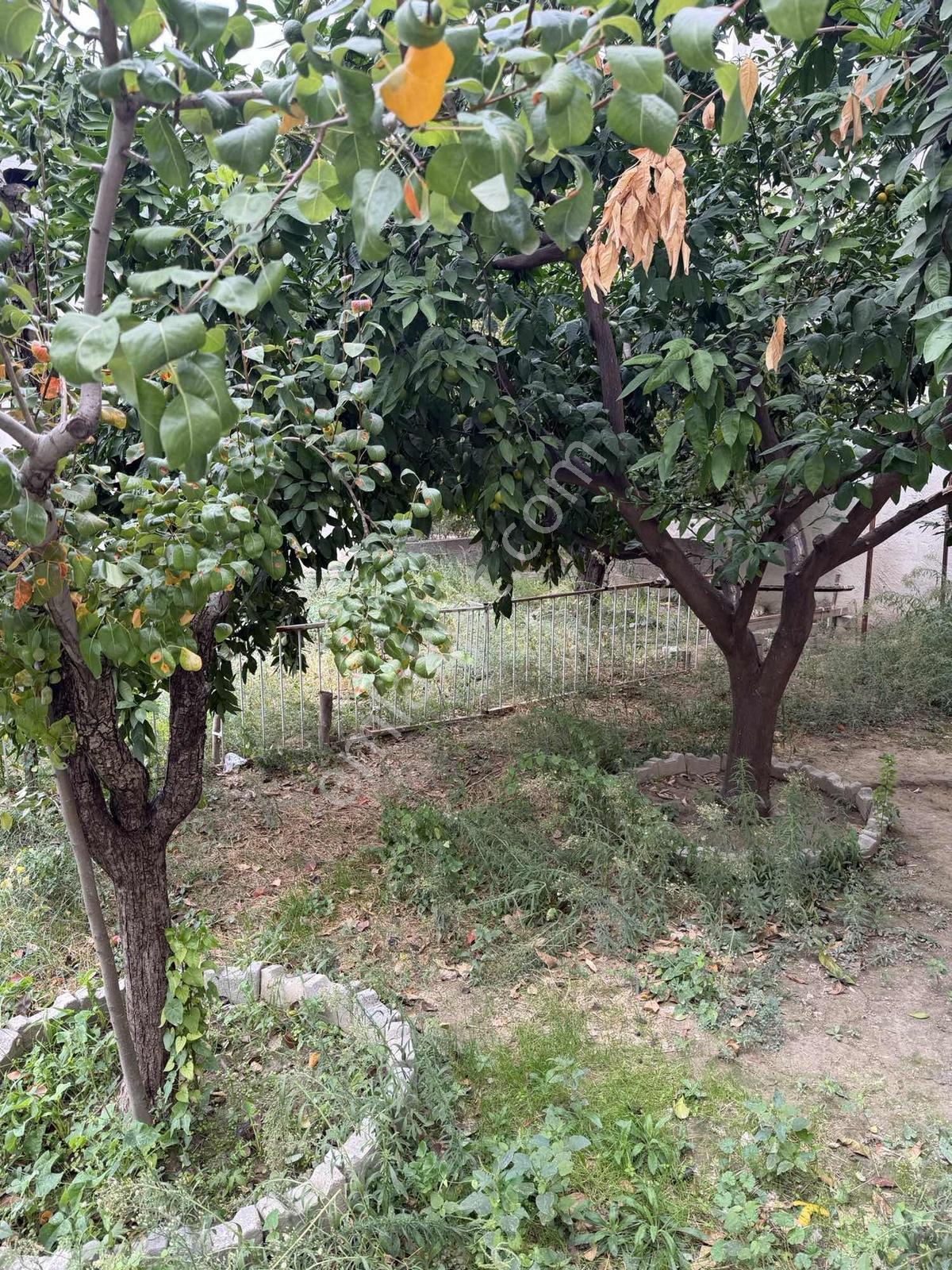 Muhtarım Emlaktan Müstakil Daire — fotoğraf 7