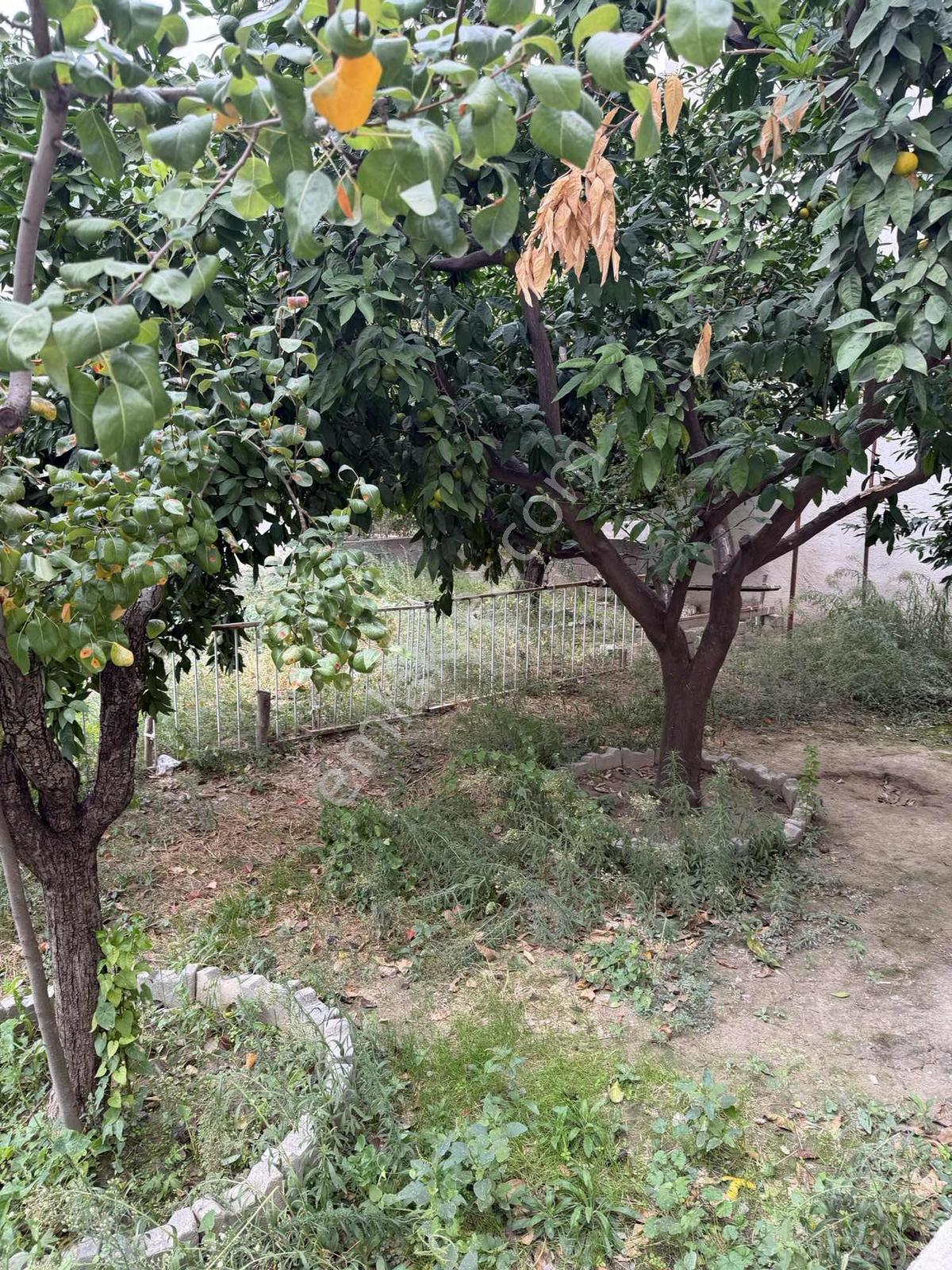 Muhtarım Emlaktan Müstakil Daire — fotoğraf 8