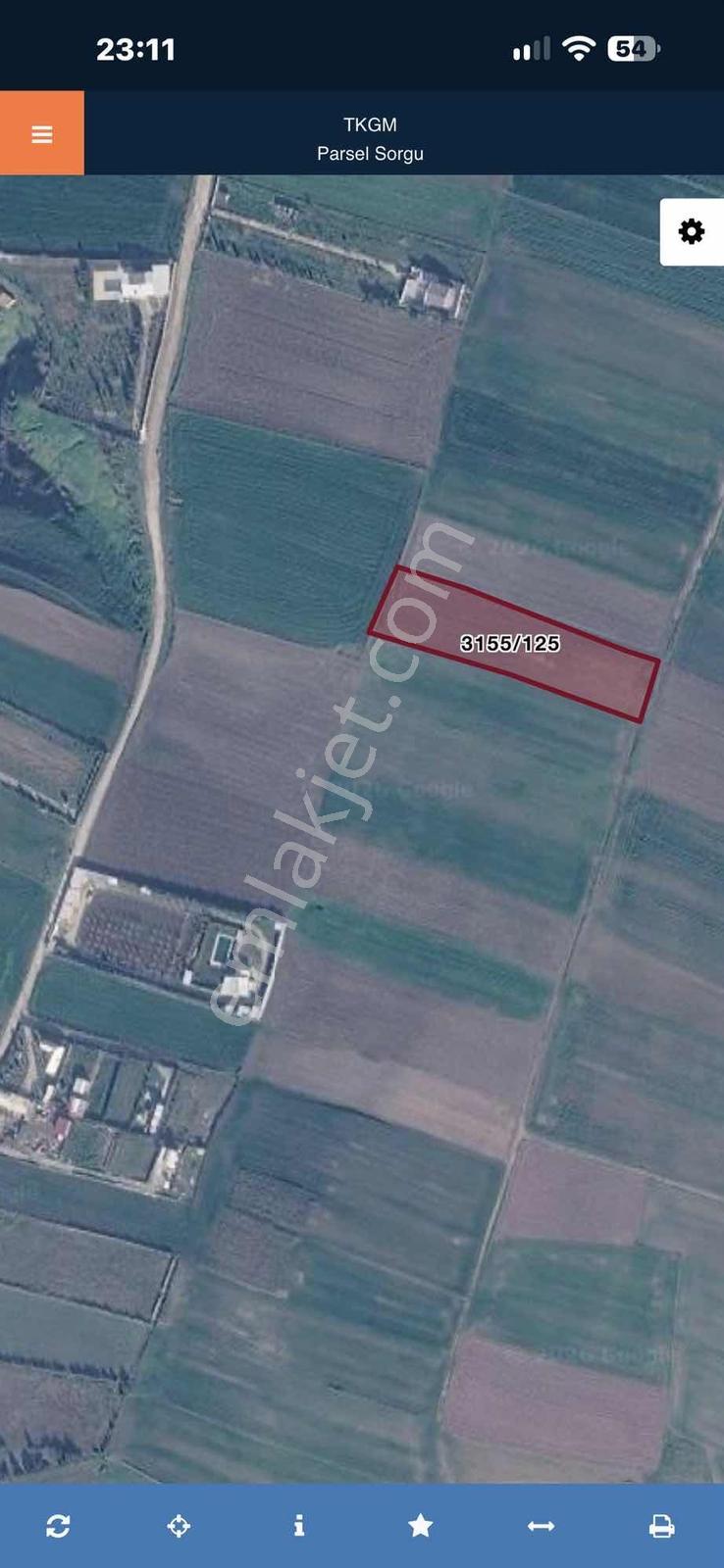 Büyükçekmece Celaliye Satılık Kelepir 5300 M2 Tarla