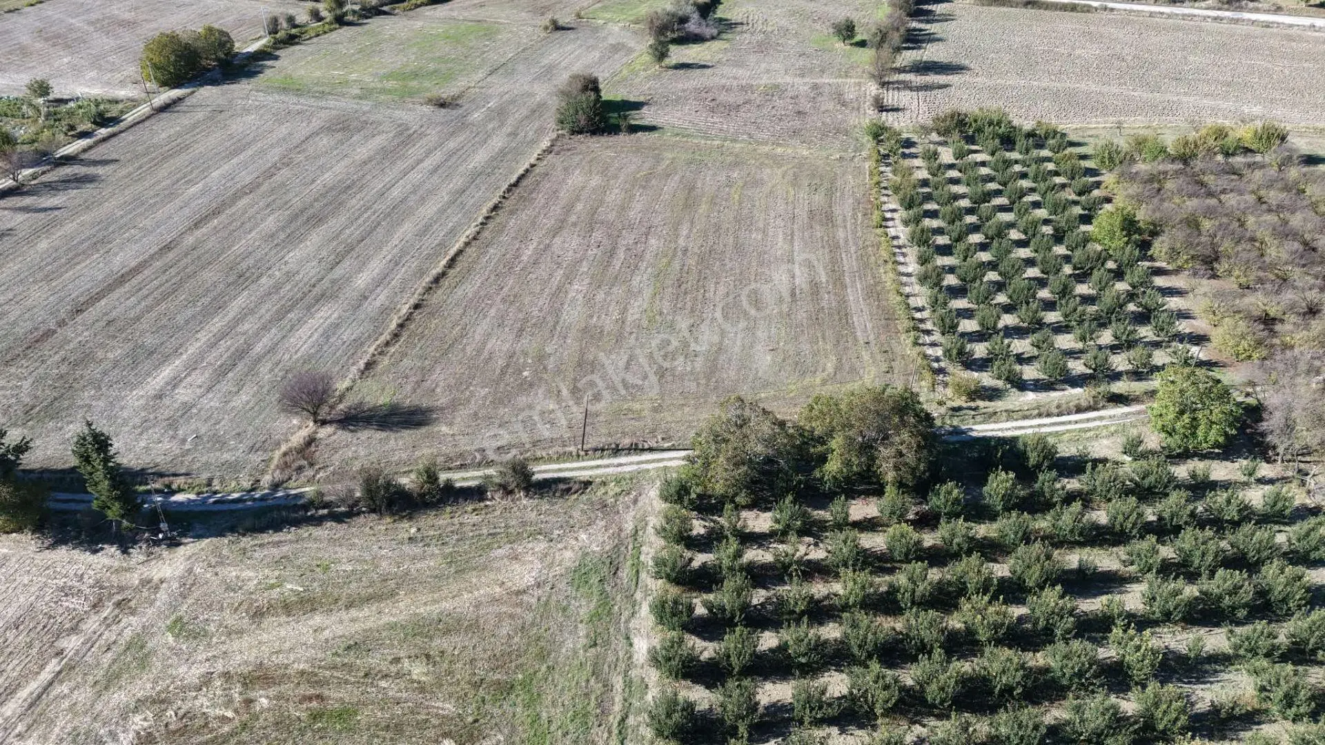 Burdur Bucak Gündoğdu'Da Satılık 5.530 M² Yan Yana 2 Parsel Tarla (Bütün Veya Ay...