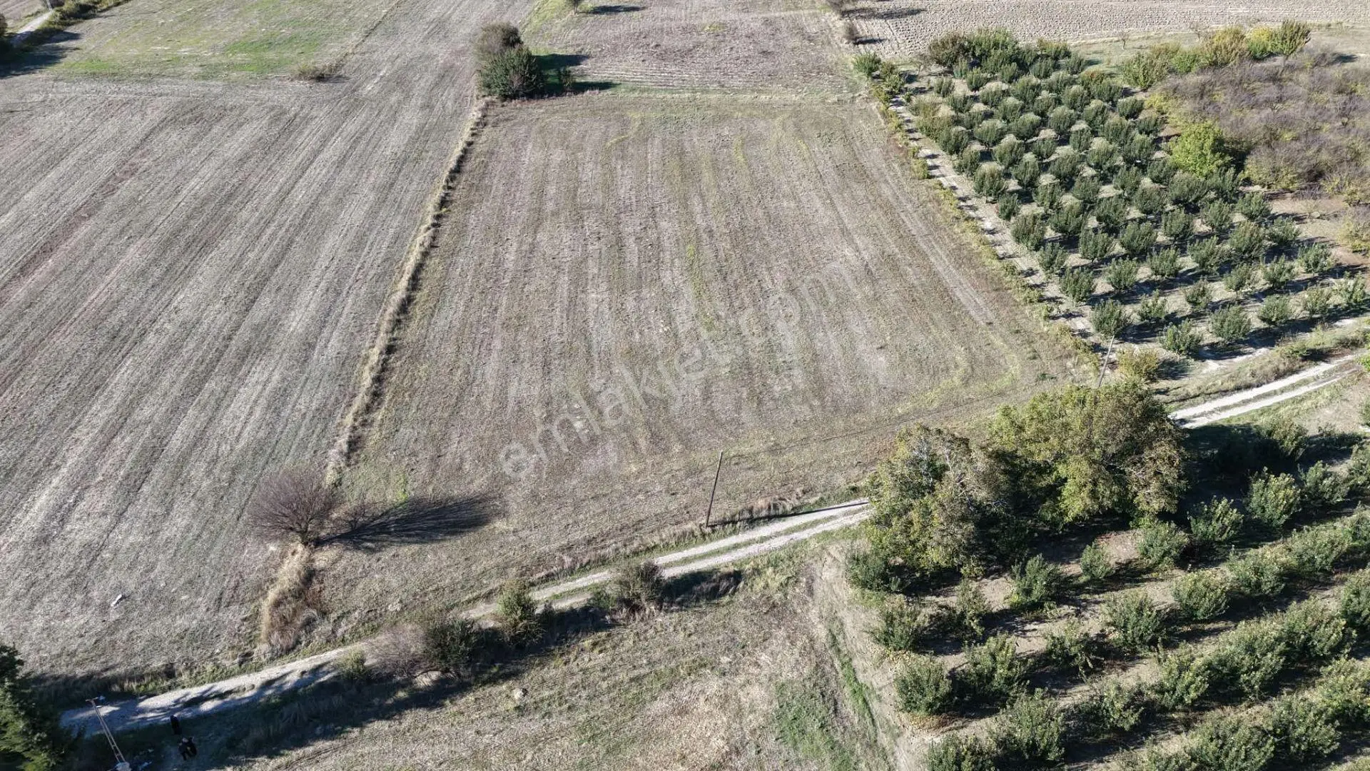 Burdur Bucak Gündoğdu'da Satılık 5.530 M² Yan Yana 2 Parsel Tarla (bütün Veya Ayrı Satılık) — fotoğraf 2