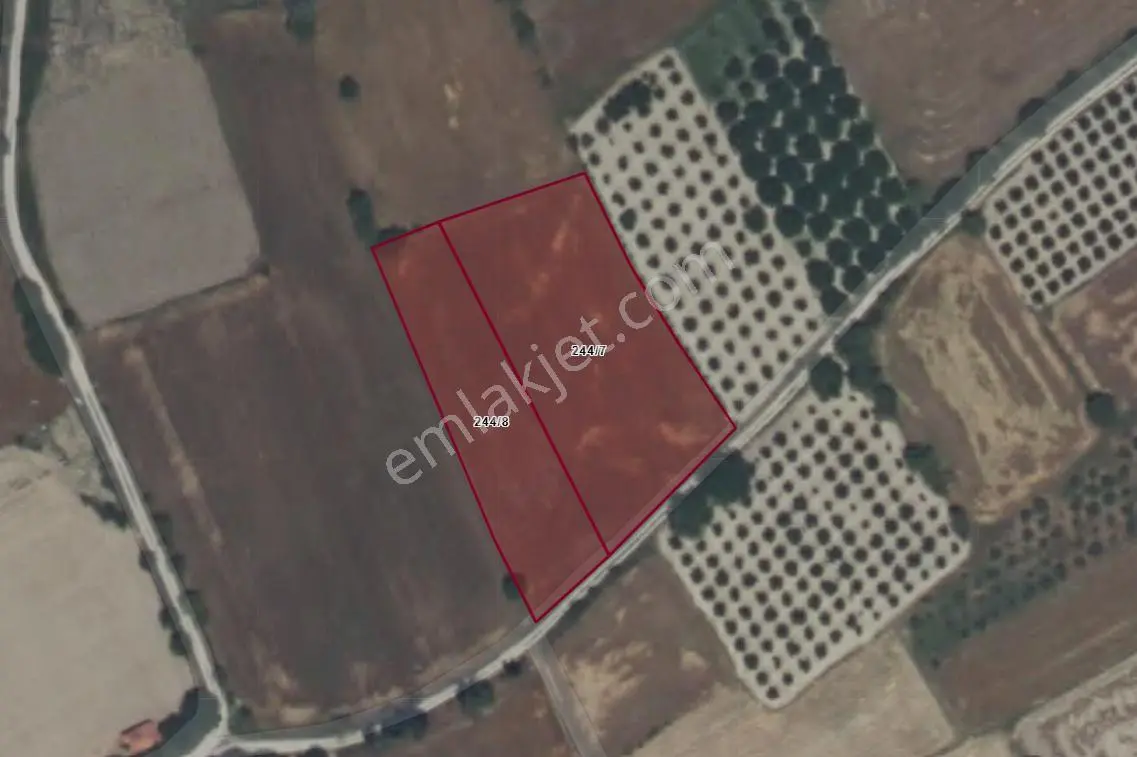 Burdur Bucak Gündoğdu'da Satılık 5.530 M² Yan Yana 2 Parsel Tarla (bütün Veya Ayrı Satılık) — fotoğraf 3