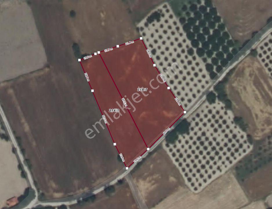 Burdur Bucak Gündoğdu'da Satılık 5.530 M² Yan Yana 2 Parsel Tarla (bütün Veya Ayrı Satılık) — fotoğraf 6
