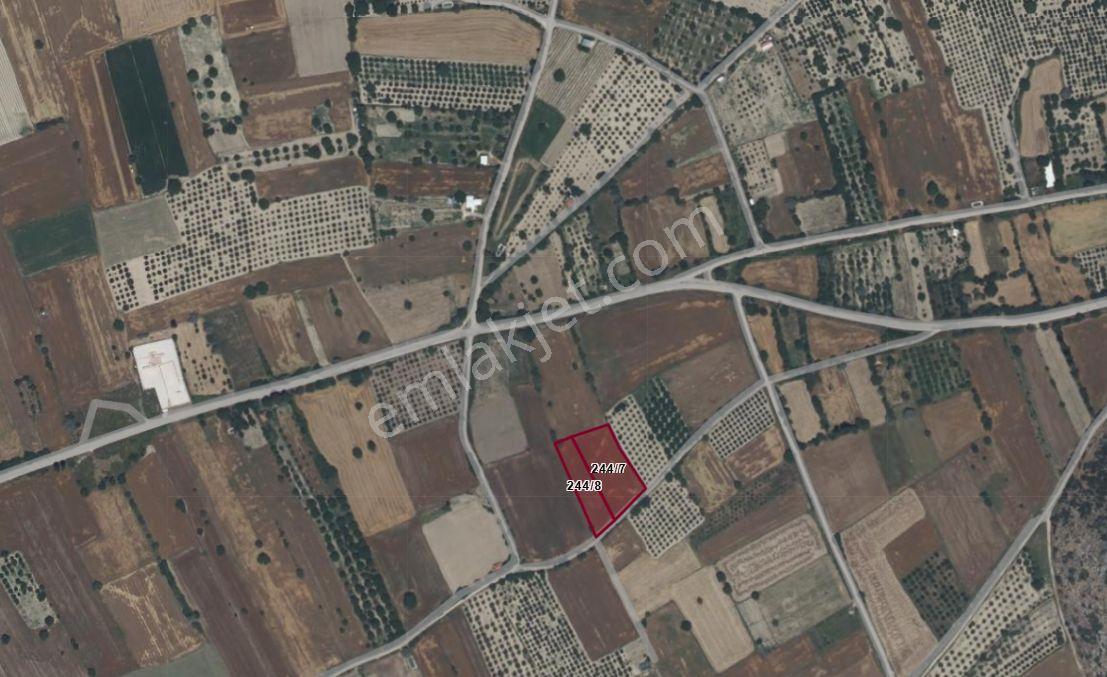 Burdur Bucak Gündoğdu'da Satılık 5.530 M² Yan Yana 2 Parsel Tarla (bütün Veya Ayrı Satılık) — fotoğraf 10