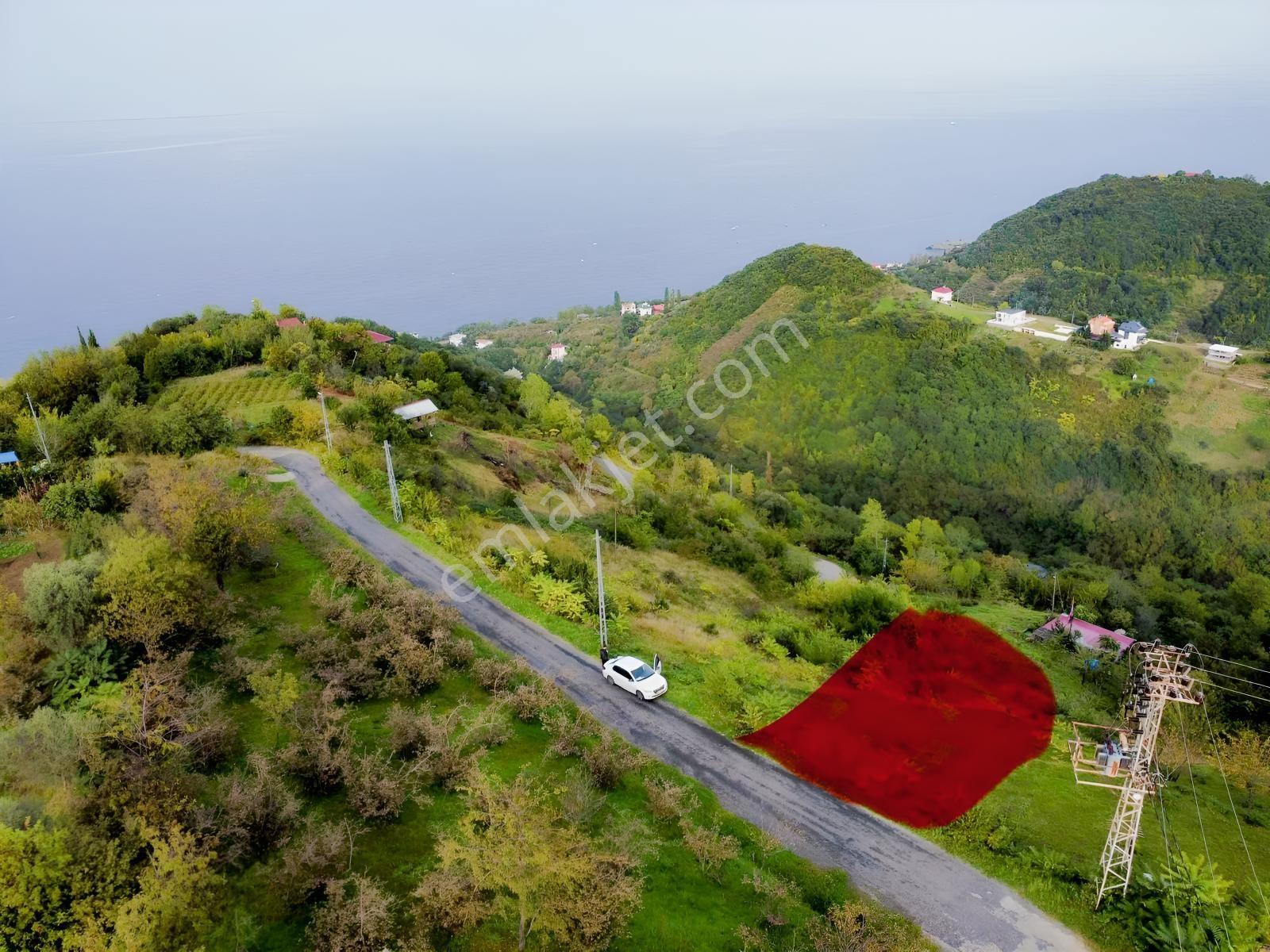 Trabzon Mersinde Deniz Manzaralı Arazi